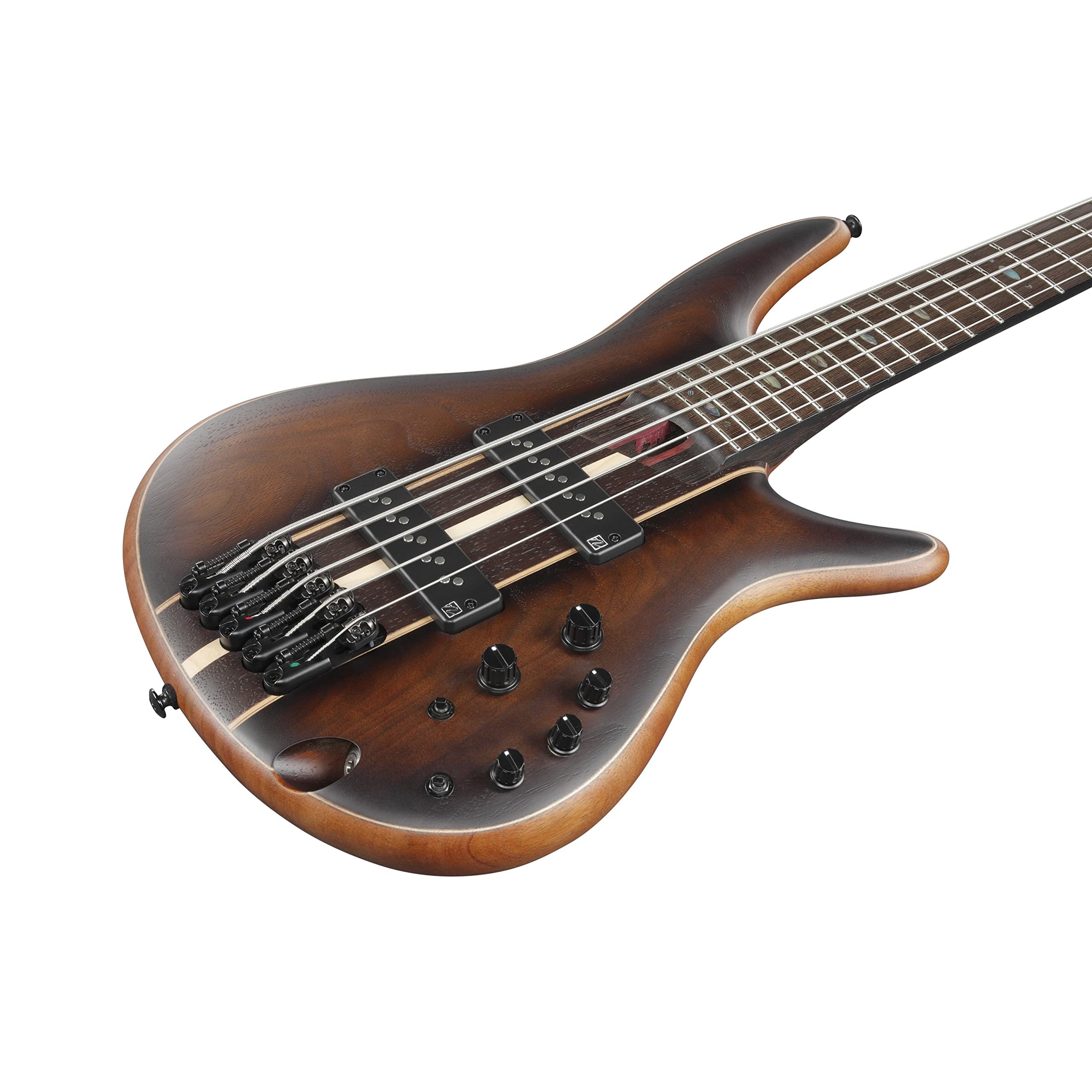 Amazon.com: Ibanez Premium SR1355B 5-string Bass Guitar - Dual