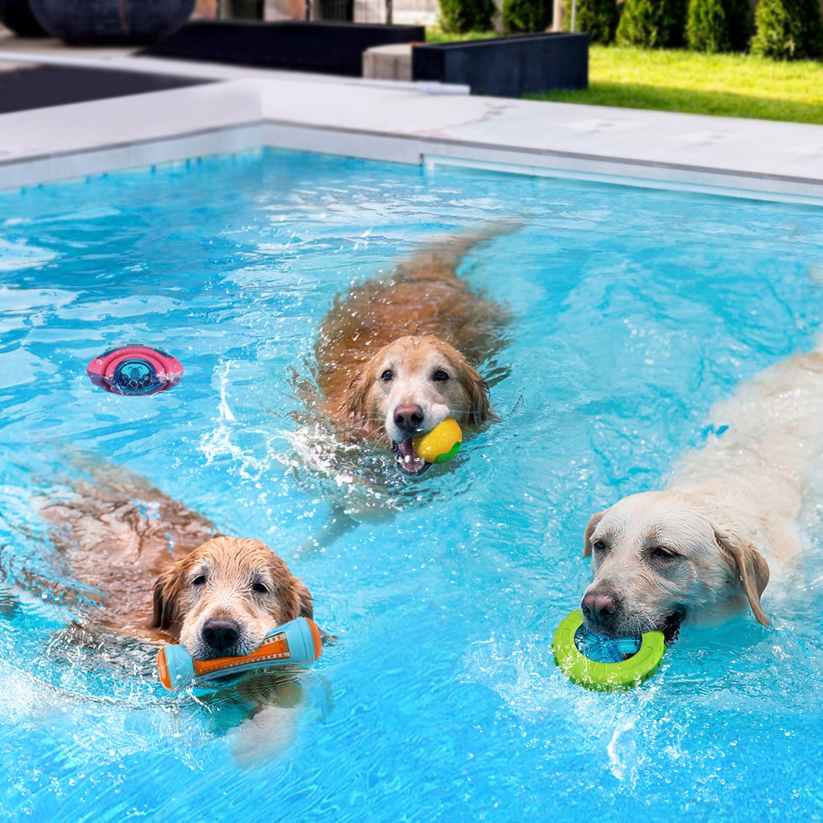 MEWTOGO 4 juguetes flotantes para piscina para perros, juguetes de agua chirriantes y brillantes para perros, juguetes interactivos de TPR seguros y duraderos para masticadores agresivos, perros