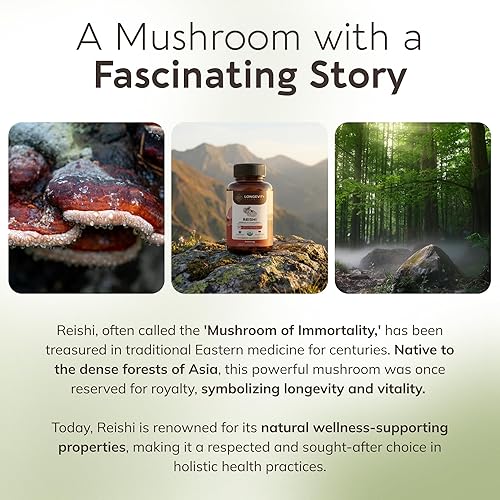 Miniatura 9 de Suplemento orgánico de cápsulas de hongos Reishi (120) | Extracto de alta resistencia 10:1 de cuerpo fructífero puro | 30% de glucanos beta-D |