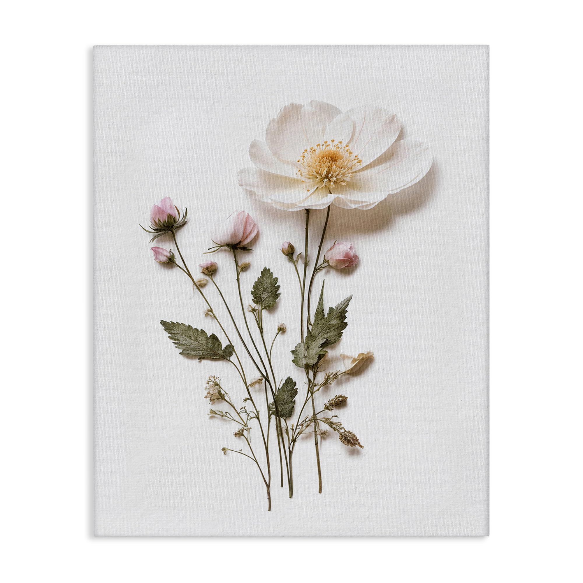 Toile murale fleurs pressées Stupell Industries 30x24 cm pour décoration intérieure
