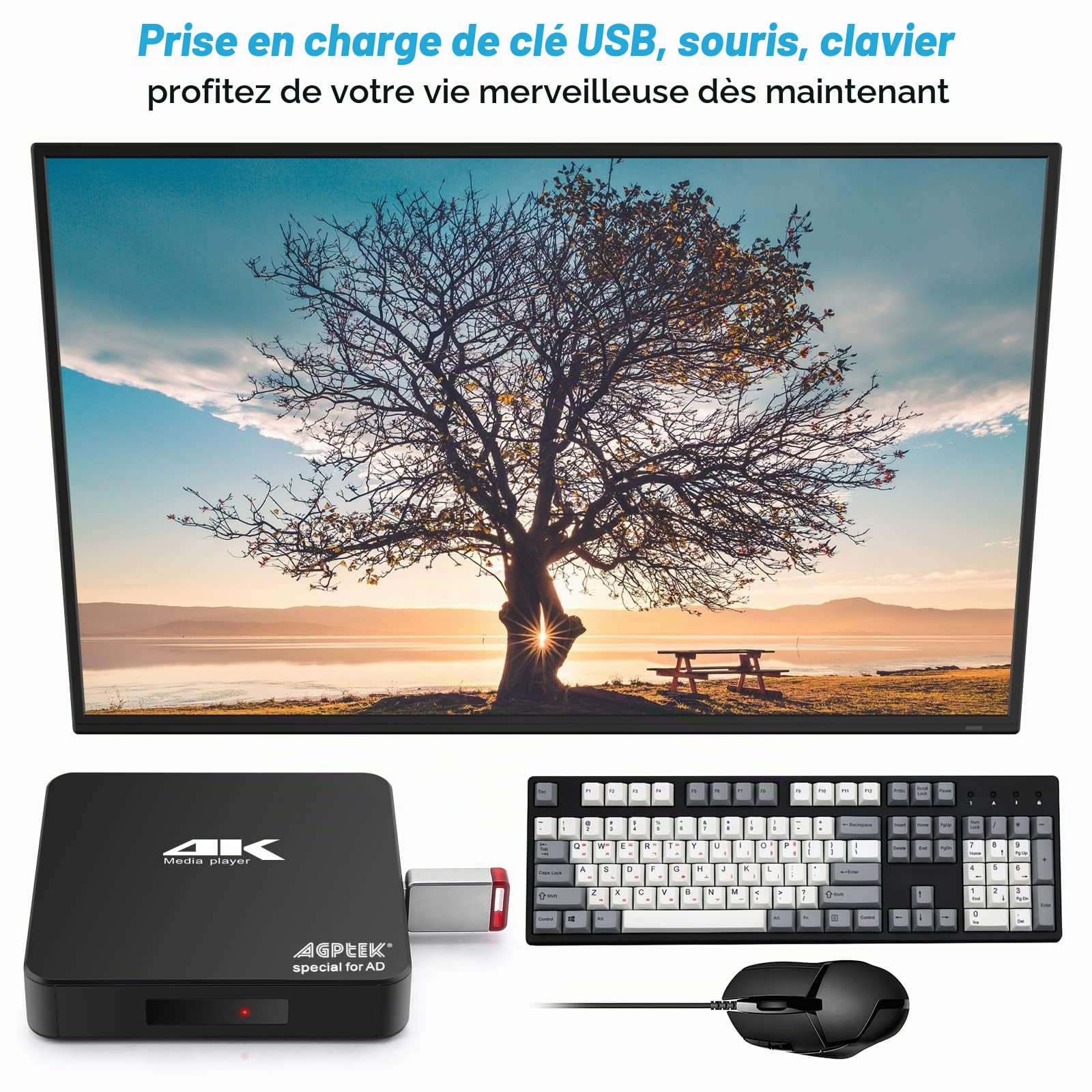 AGPTEK Lecteur multimédia numérique 4K Ultra HD Sortie HDMI / AV PPT MKV AVI RMVB RM pour HDTV avec Prise en Charge de la télécommande