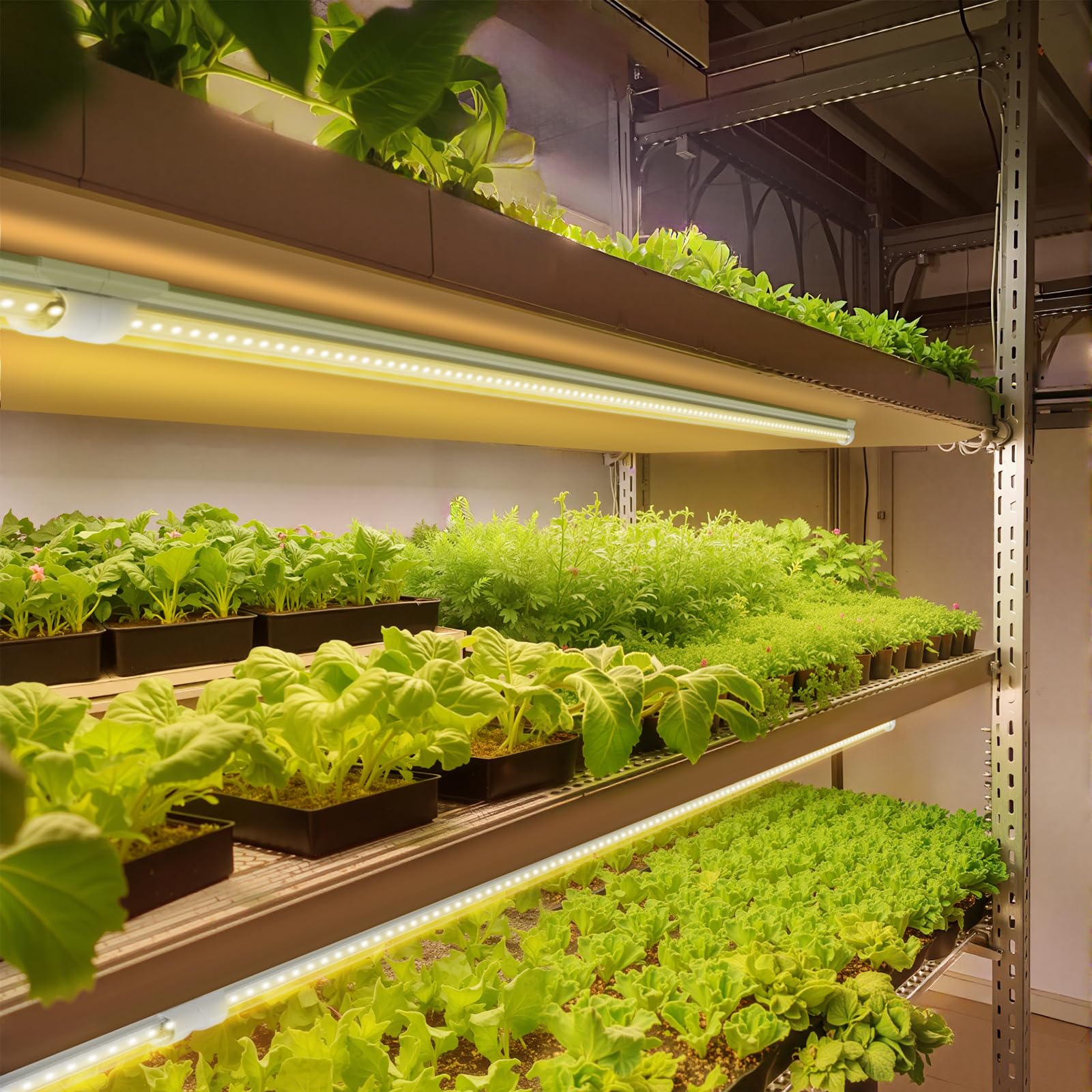 barrina plant grow light 252w6 x 42w 1400w equivalent full spectrum led grow light strips t8 integrated growing lamp fixture grow shop light with onoff switch 6-pack