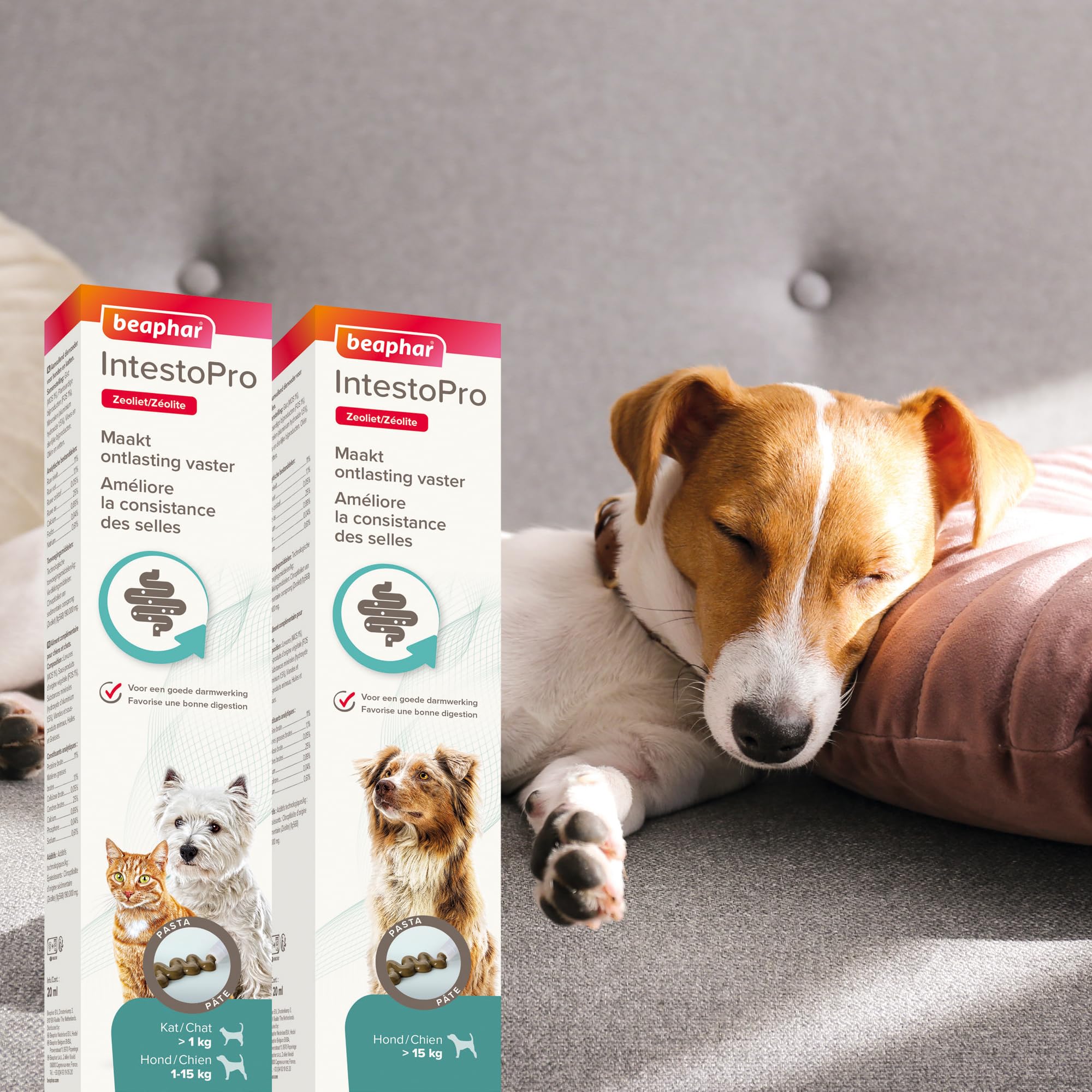Beaphar Intestopro Pasta Gatti/Cane Fino a 15 kg - Agente digestivo - Pollo 1x 20ml