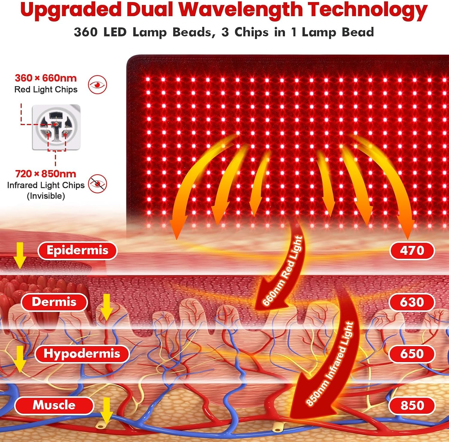 GarveeHome Red Light Therapy for Body, 31.5" x 11.8" Infrared Light Therapy Belt with 360 LEDs, 660nm Red Light & 850nm Infrared Light Therapy Mat with Timer for Back Shoulder Waist Muscle Pain Relief