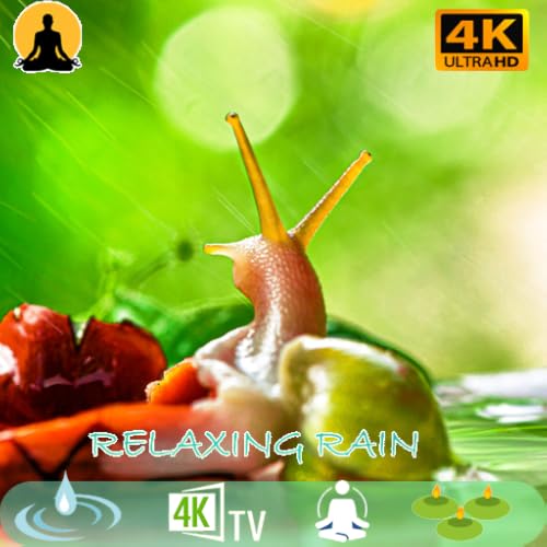 Peaceful Night's Rest Rain ☔ for Relaxation and Sleep Reduce Stress,No Ads