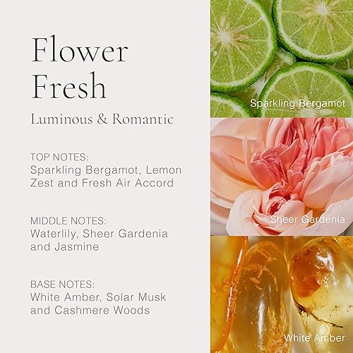 Miniatura 4 de Clean Classic - Perfume se puede combinar con otras fragancias en espray vegano sin ftalatos y sin parabenos