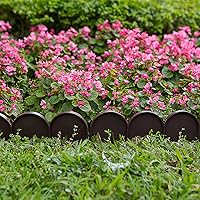 Vista 6 de Evelyne Borde de borde de jardín en medio círculo (semicírculo) diseño arqueado – 15 piezas de revestimiento de valla de jardín marrón barrera