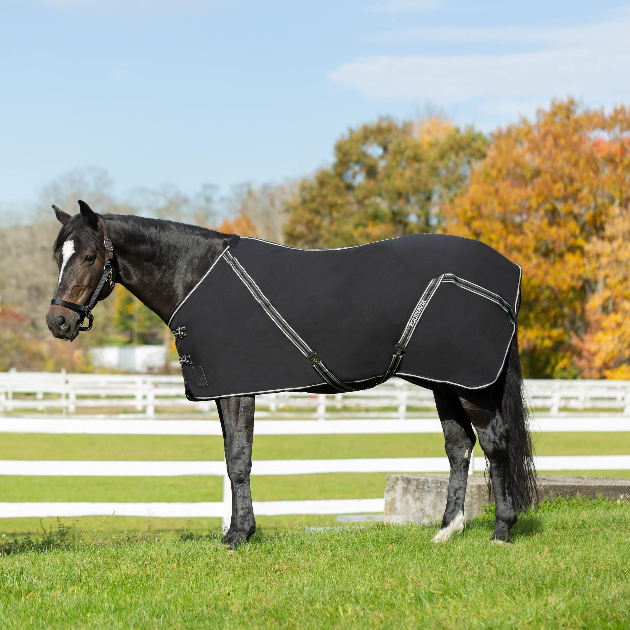 Equinavia Fryd 100% Cotton Stable Blanket for Horses | No Fill - Black - 78 in