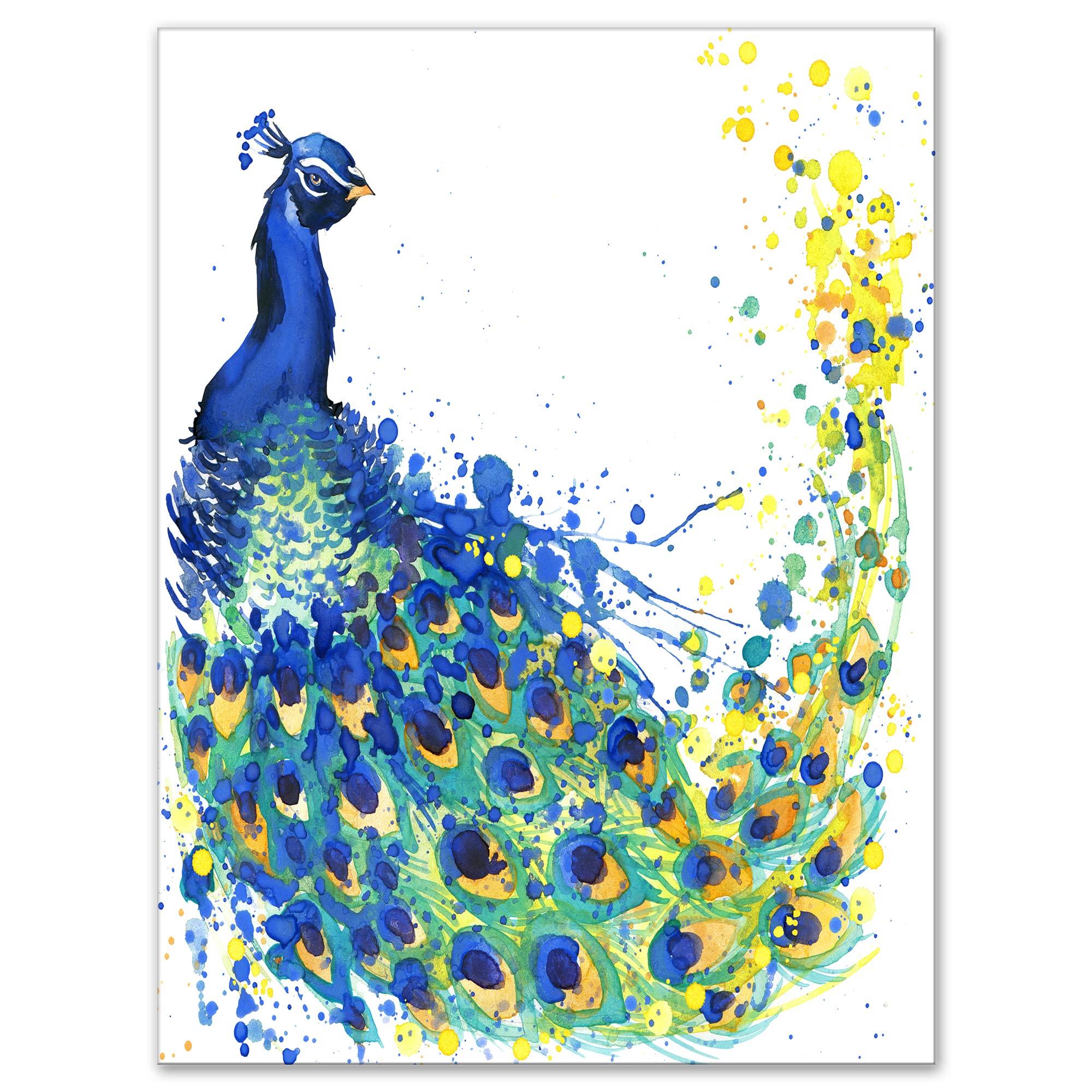 孔雀　絵画 Amazon.co.jp: Designart エキゾチック 孔雀 水彩画