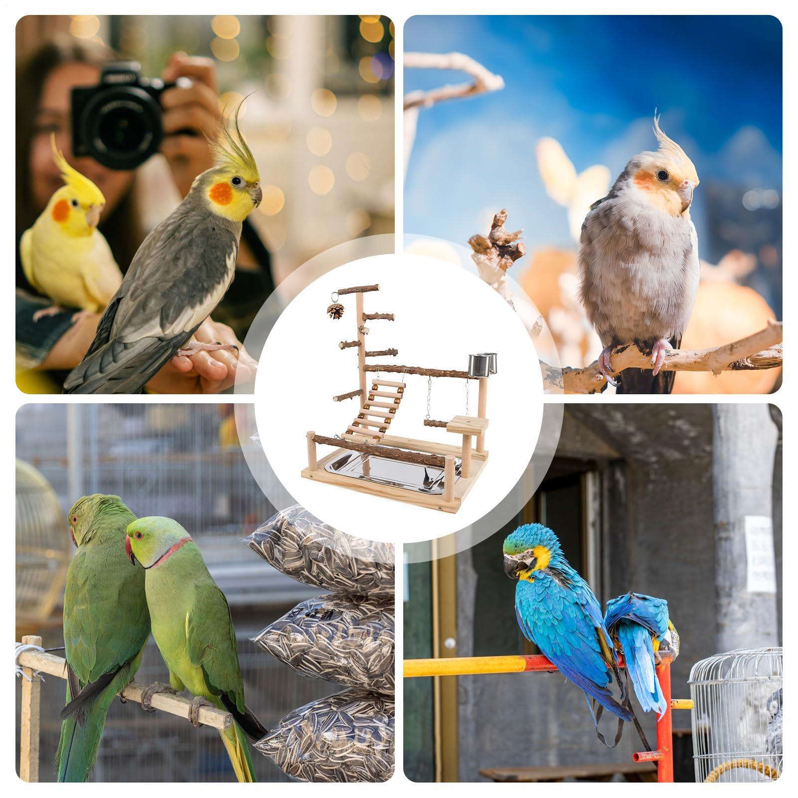 Plac Zabaw Papug Nimf Drewniana Zabawka Do Wspinaczki | Drabinka dla papug z pojemnikiem i tacą ze stali nierdzewnej Dla Nimf Zeberek Oraz Nierozłączek Do Żucia I Ćwiczeń