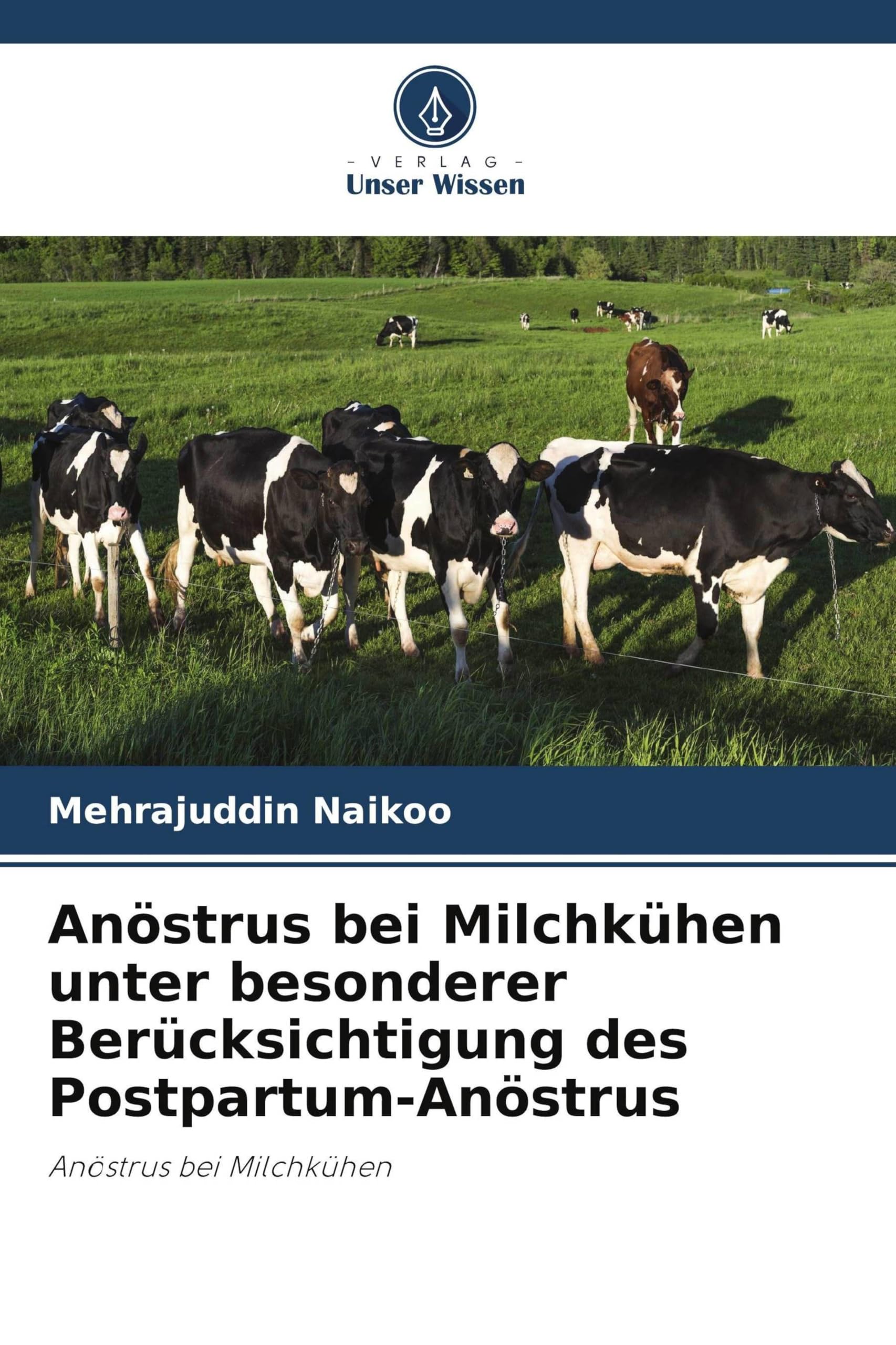 Anöstrus de la vache laitière : comment relancer le cycle post-partum