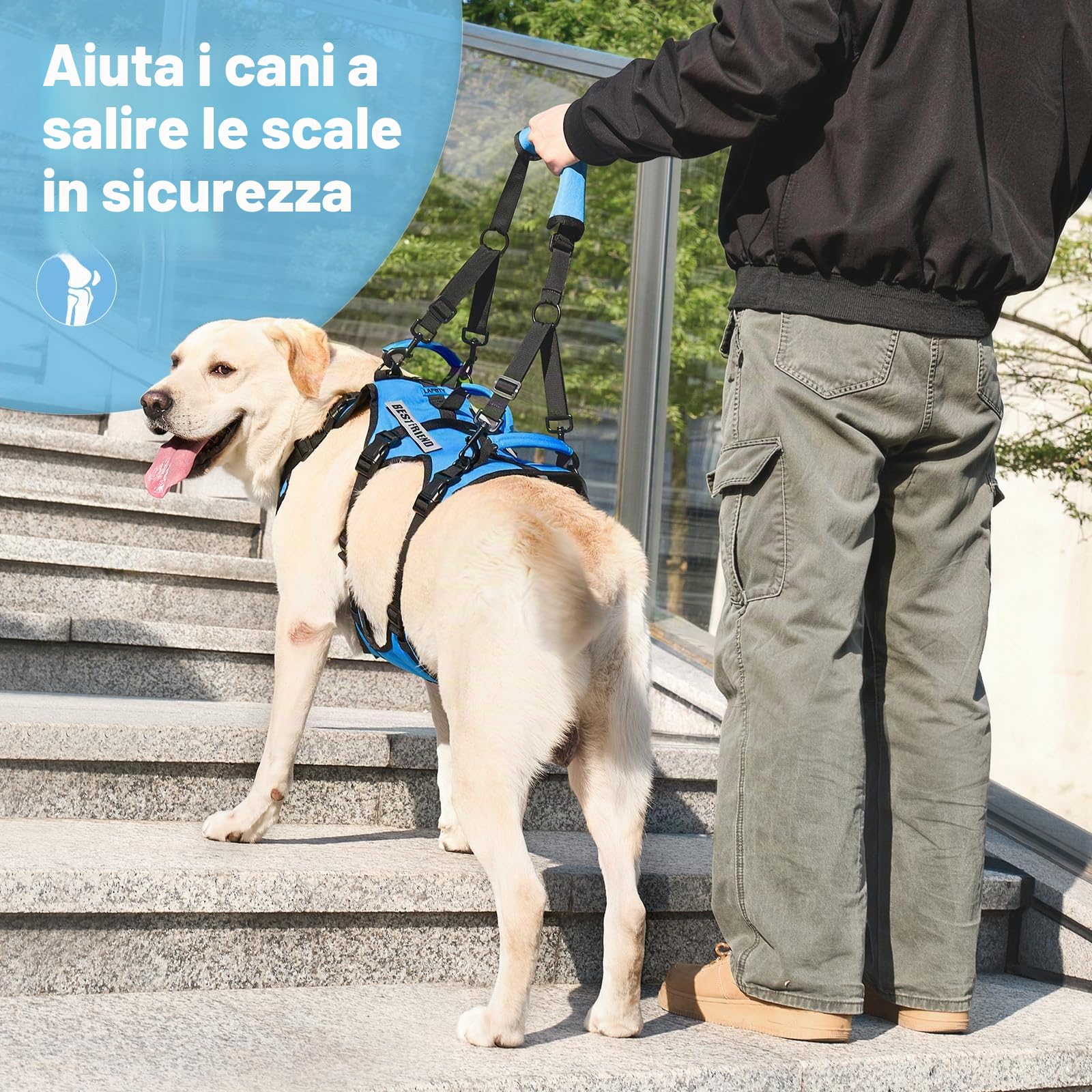 imbracatura di sollevamento per cani medi, supporto completo con 3 maniglie e tracolla, aiuto mobilità per cani anziani con artrite, assistenza scale, blu, M