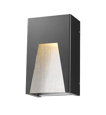 10 in. Outdoor Wall Light with Clear Seedy Glass Shade