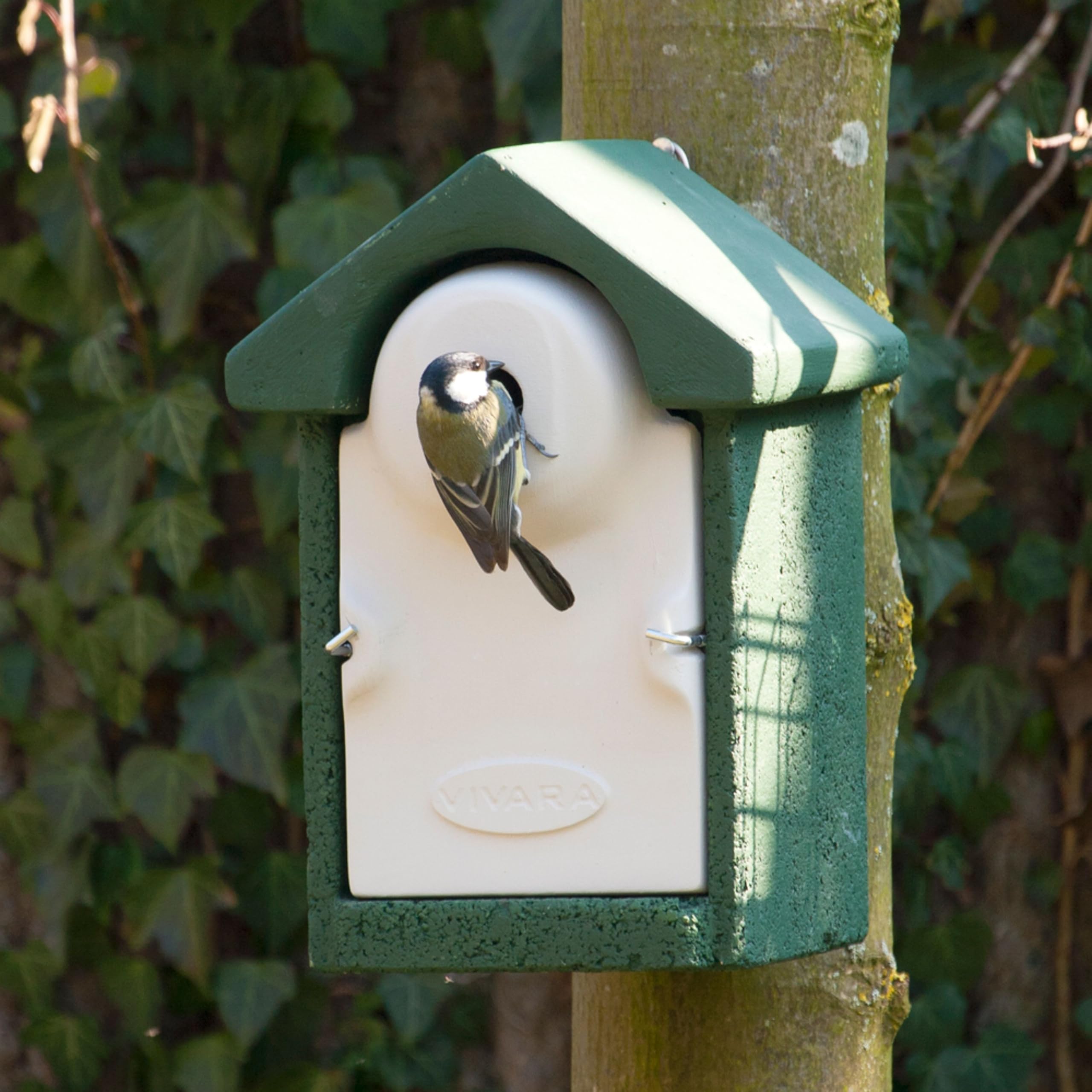 CJ Wildlife Nistkasten – Vogelnistkasten für Meisen mit Marderschutz – Holzbeton Woodstone Grün – Einflug 28 mm – 24 x 12 x 12 cm – dauerhaft wetterfest für draußen