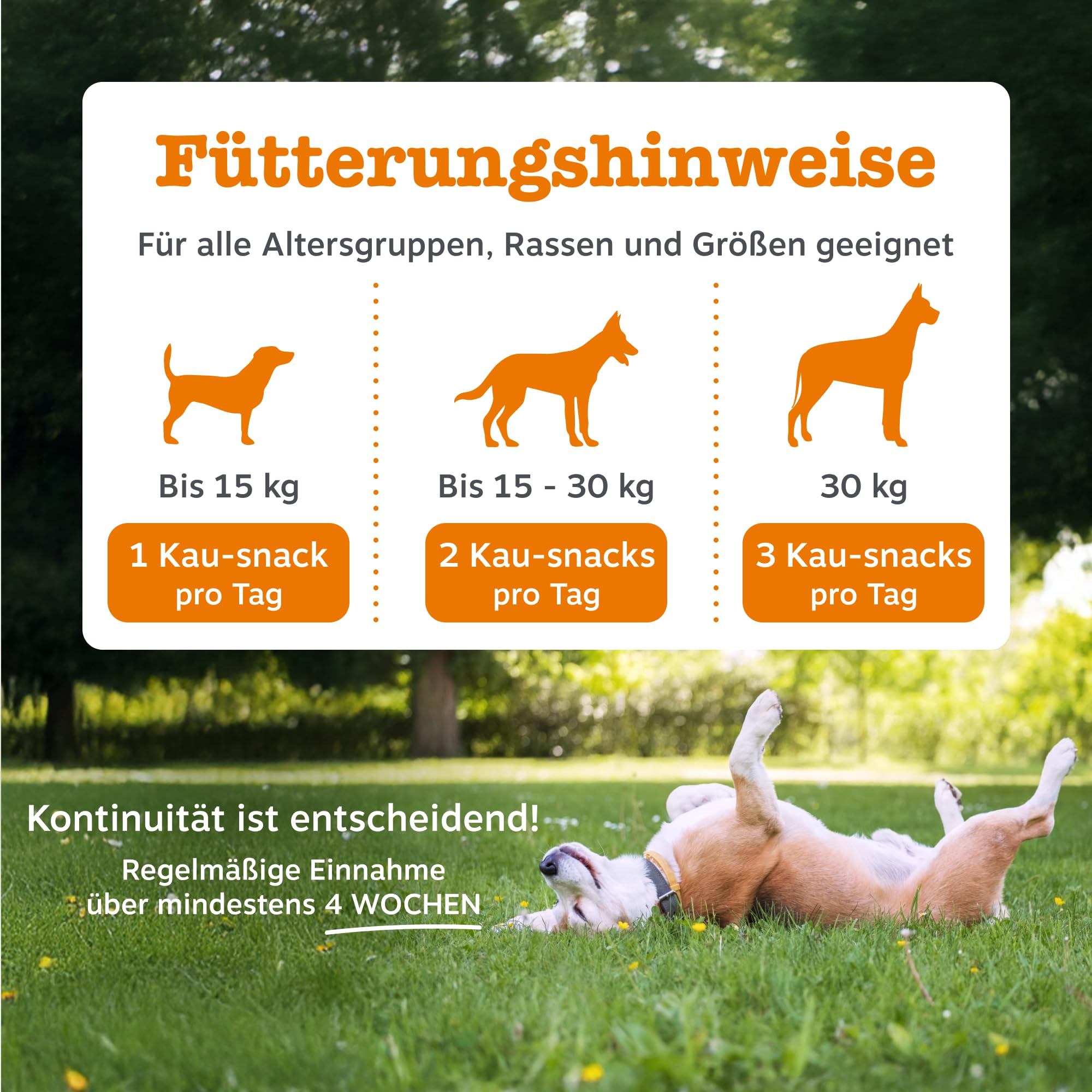 Zesty Paws Probiotika für Hunde – Unterstützt Darmflora, Verdauung & gegen Mundgeruch – Mit Pre-, Pro- & Postbiotika, Kürbis & Leinsamen – Tägliche Anwendung – 90 Kauleckerlis
