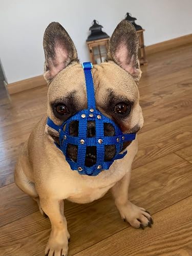 L&J Pets UK Bozal de perro para bulldog francés Frenchies a otros hocicos similares de hocico corto (FB1