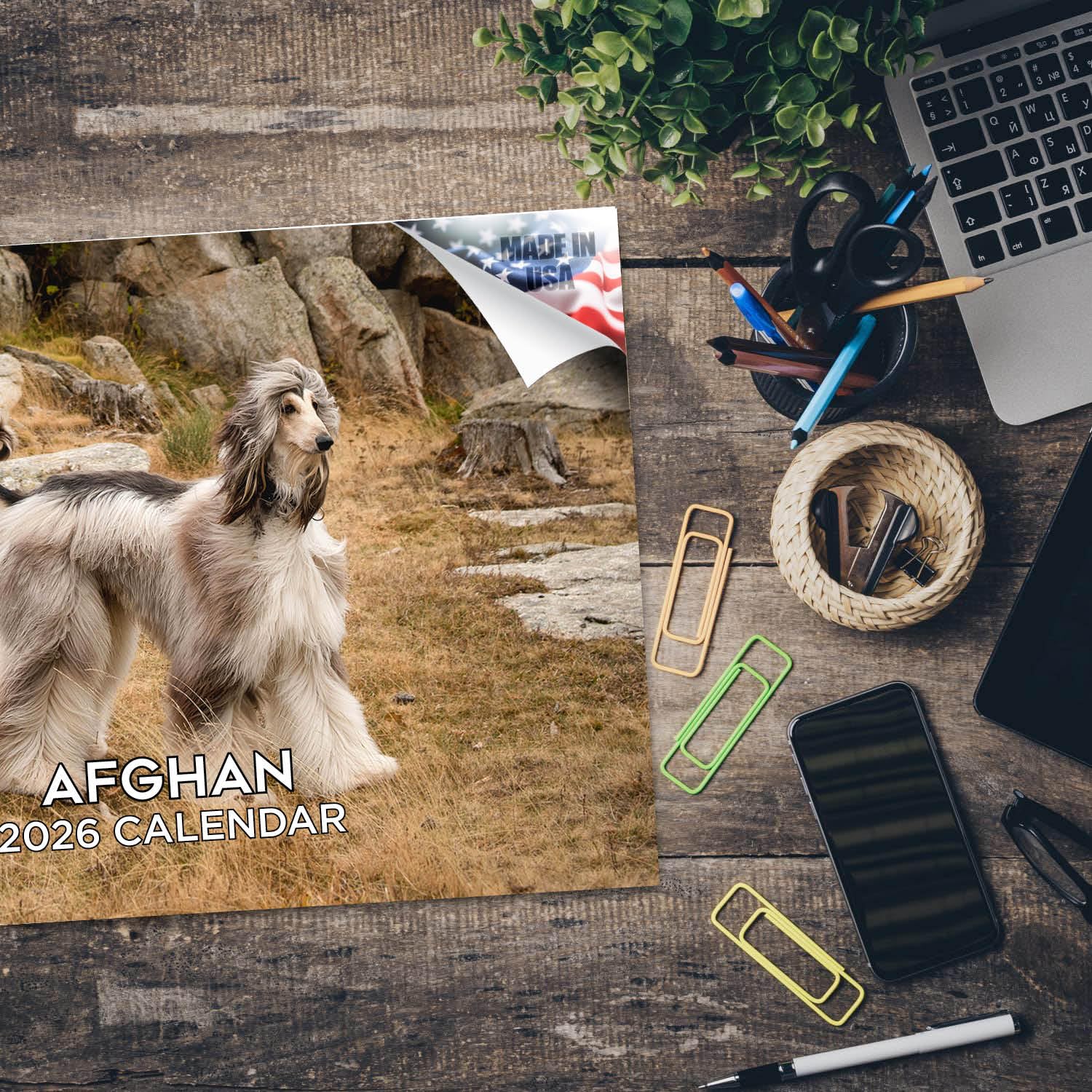 Calendario 2024 2025 de perro afgano – Calendario mensual de pared de raza de perro – 12 x 18 pulgadas abierto – Papel grueso que no se corre – Regalo – Planificador académico para profesores,