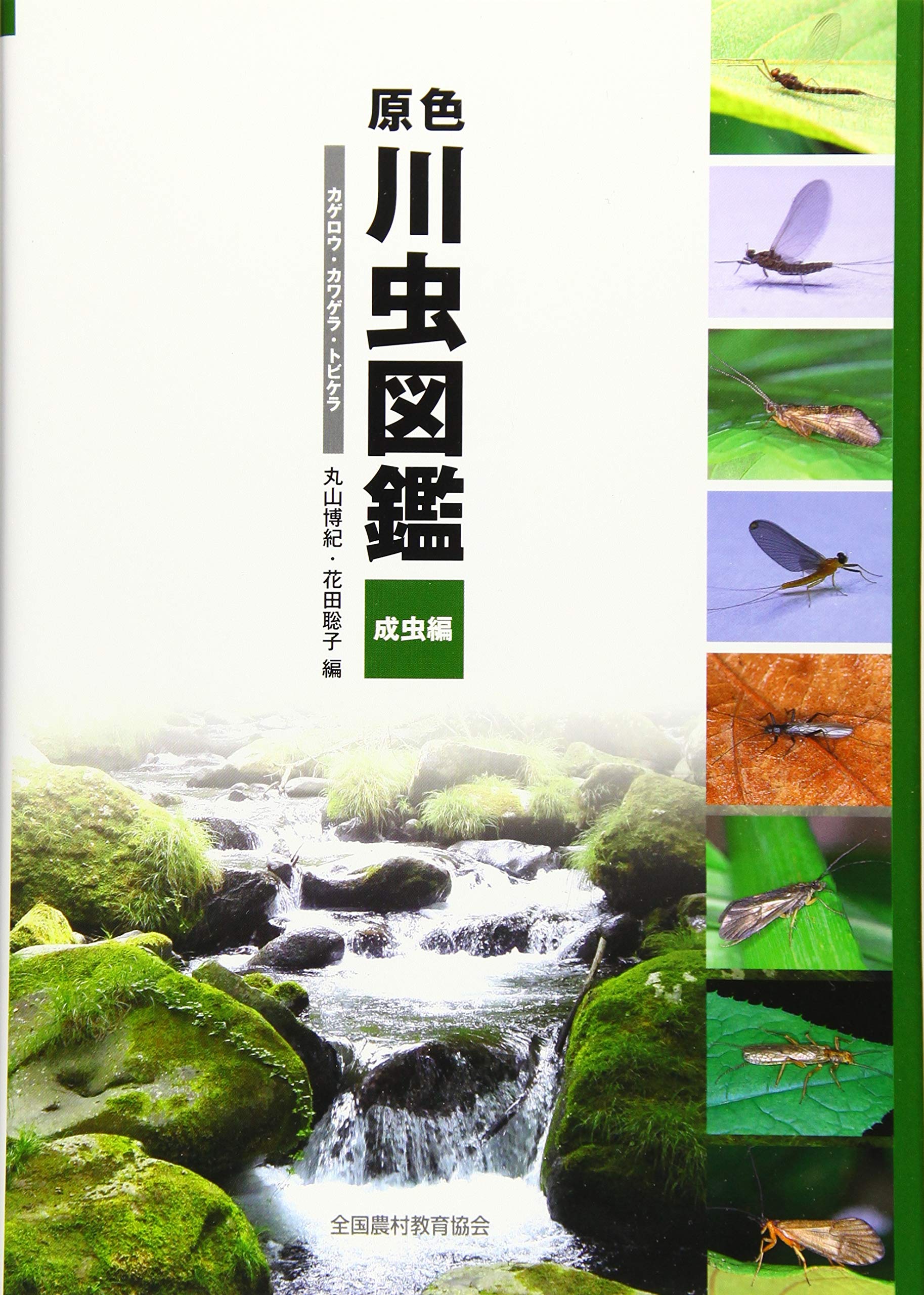 原色川虫図鑑 成虫編 カゲロウ カワゲラ トビケラ 博紀 丸山 聡子 花田 本 通販 Amazon