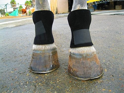 Bedsore Boots for Horses -Equine Leg Protection for Pressure Sores