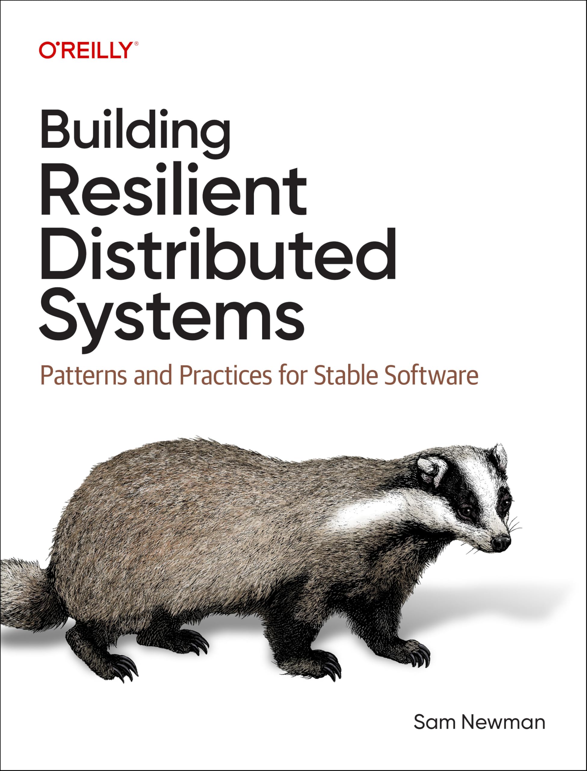 Building Resilient Distributed Systems: Patterns and Practices for Stable Software