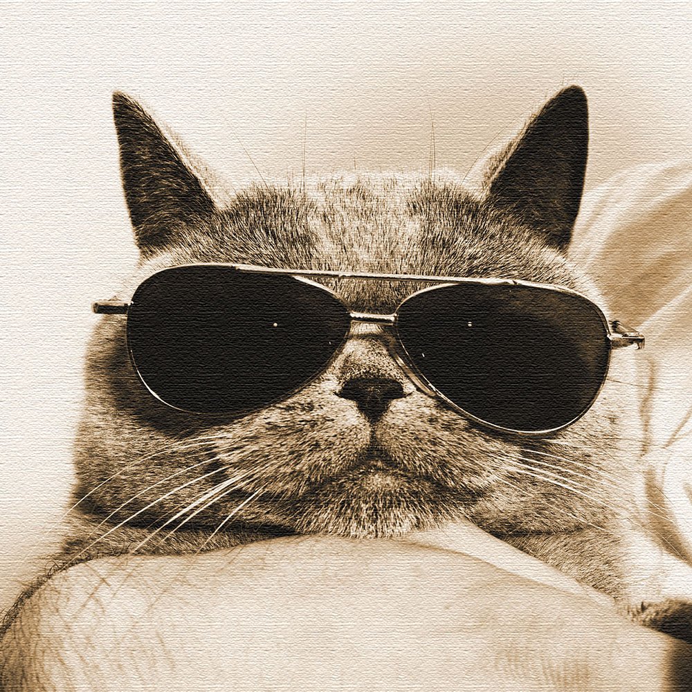 猫　イラスト　インテリア　原画 Amazon.co.jp: 黒猫 絵画 アクリル画 ネコ インテリア 真作