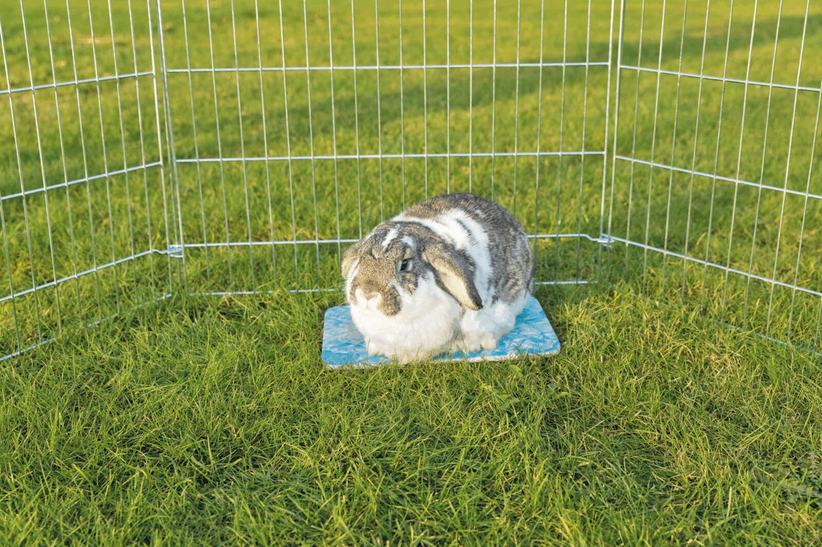 Trixie 63010 - Piastra refrigerante per Piccoli Animali