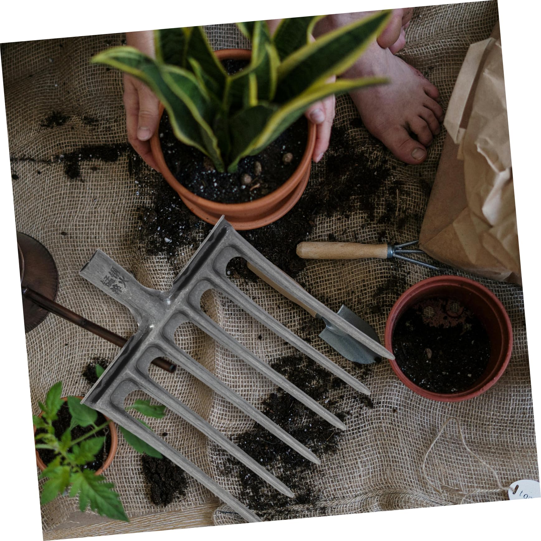 Forcella per Agricoltura Strumento Pratico per Aerazione e Lavorazione Del Design Multi Dente per Preparazione Del e Coltivazione Sostenibile