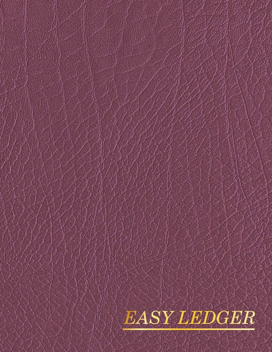 Easy Ledger: Check and Debit Card Register 100 Pages 2,400 Entry Lines Total: Size = 8.5 x 11 Inches (Double-Sided), Perfect Binding, Non-Perforated (Checking Account Ledger)