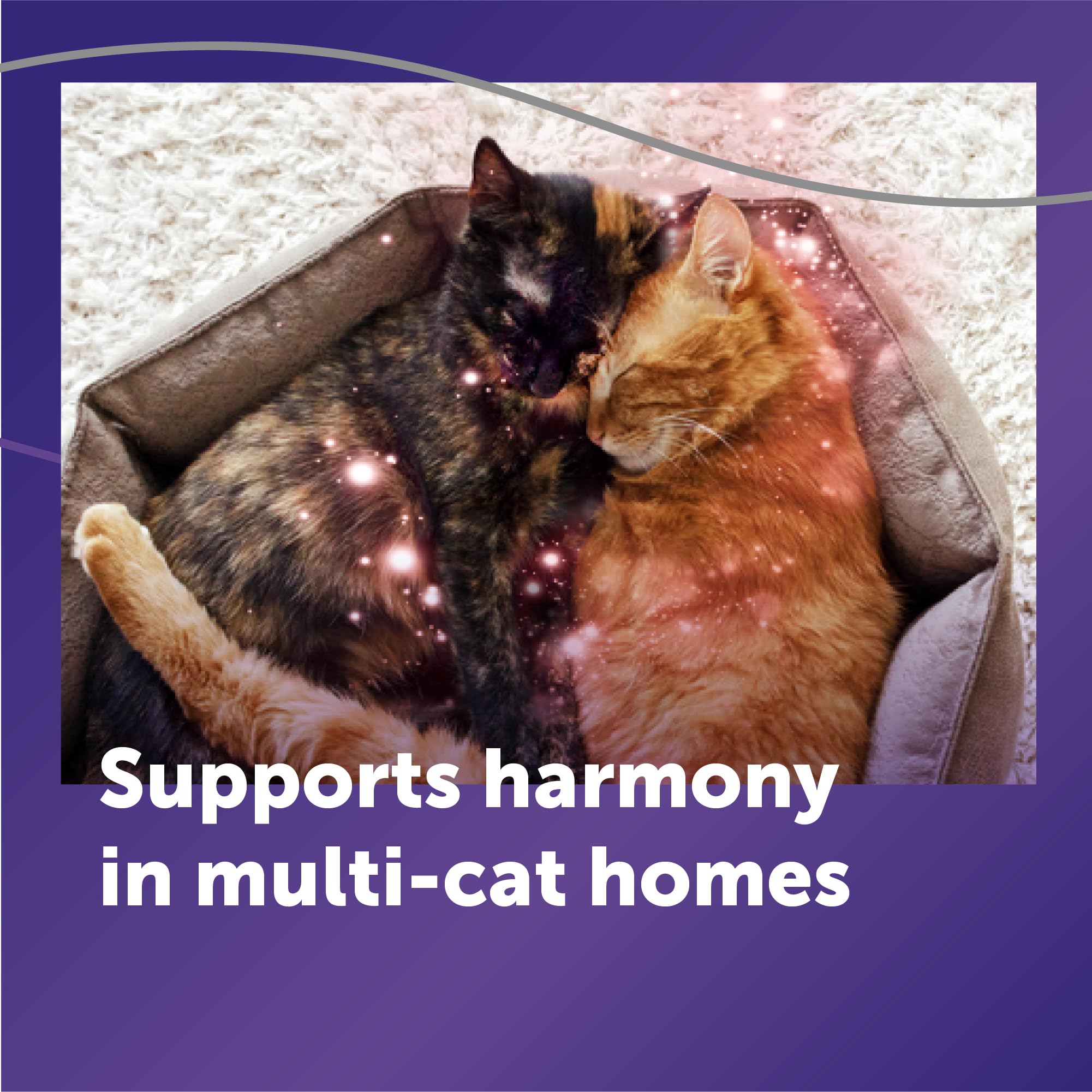 FELIWAY オプティマム 猫 癒し強化フェロモンディフューザー