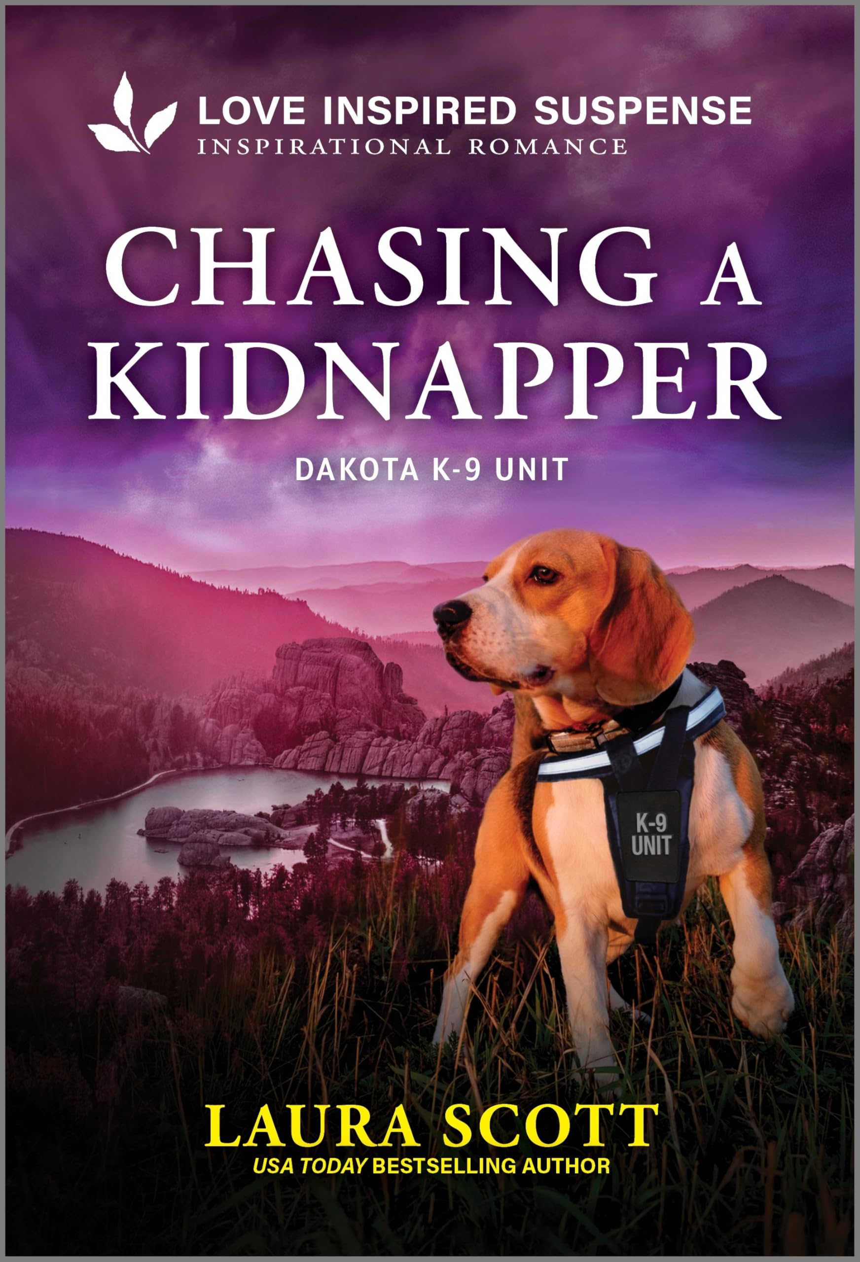 Chasing a Kidnapper (Dakota K-9 Unit Book 1)