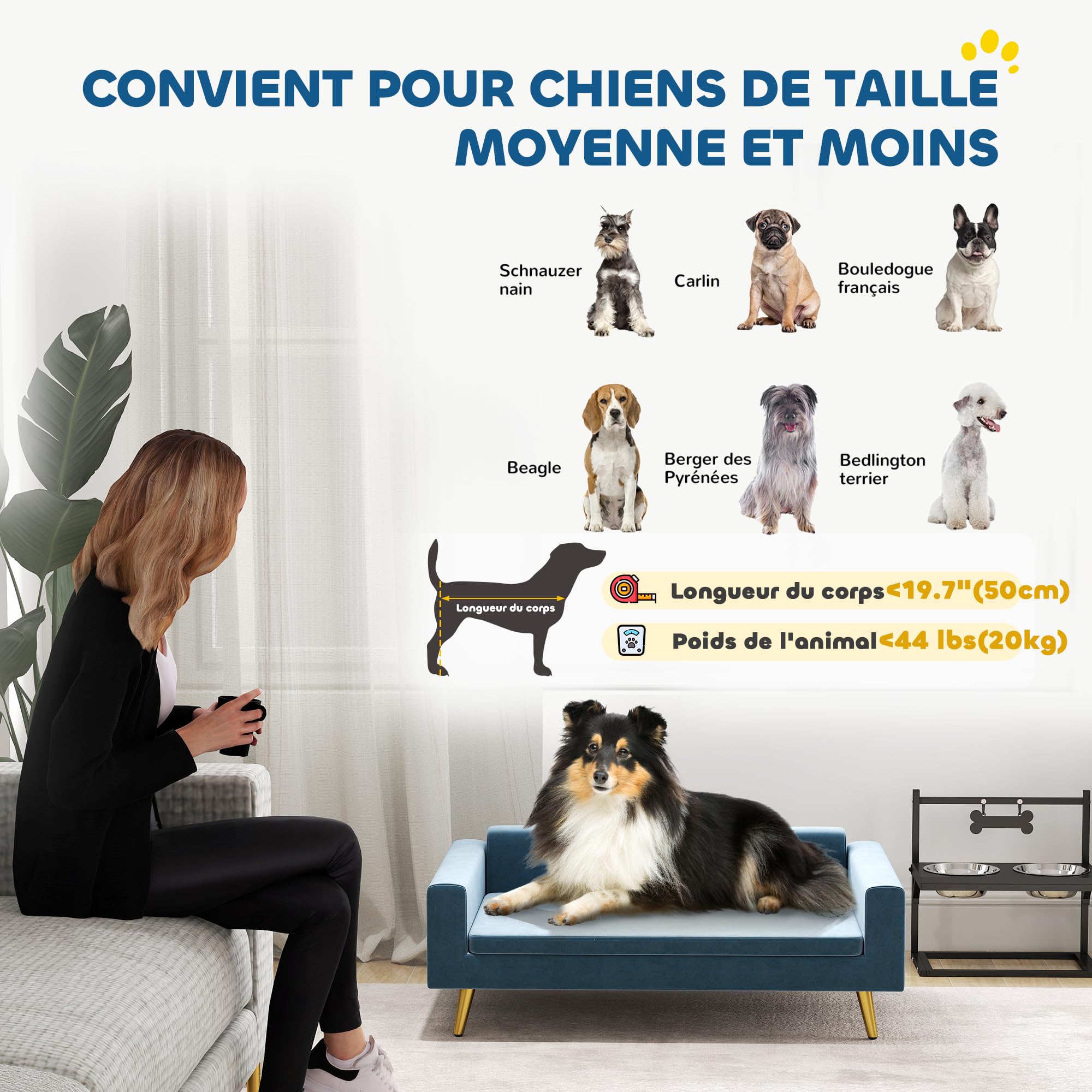 PawHut Canapé Chien, lit pour Chien, revêtement en Velours Soyeux, 94 x 59,5 x 31,5 cm, Design scandinave, canapé pour Chien sur Pied, avec Coussin Moelleux, Pieds en Acier Inoxydable, Bleu