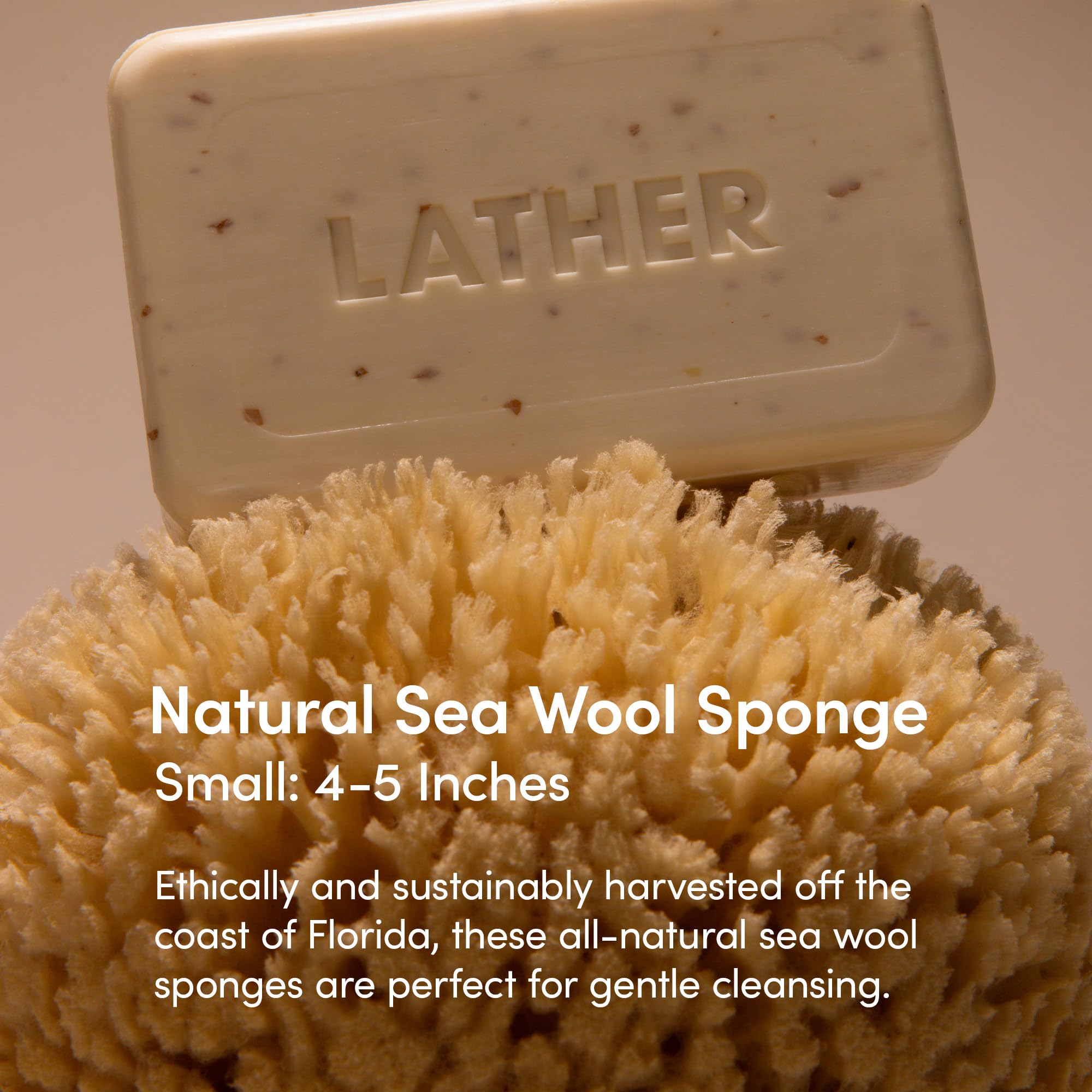 LATHER - Naturalna gąbka z wełny morskiej, 10-12,7 cm - Organiczny peeling do ciała - Miękkie, delikatne oczyszczanie - Hipoalergiczna - Wszystkie rodzaje skóry - Naturalna gąbka Loofah Florida - Bez