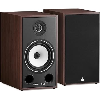triangle speakers for sale