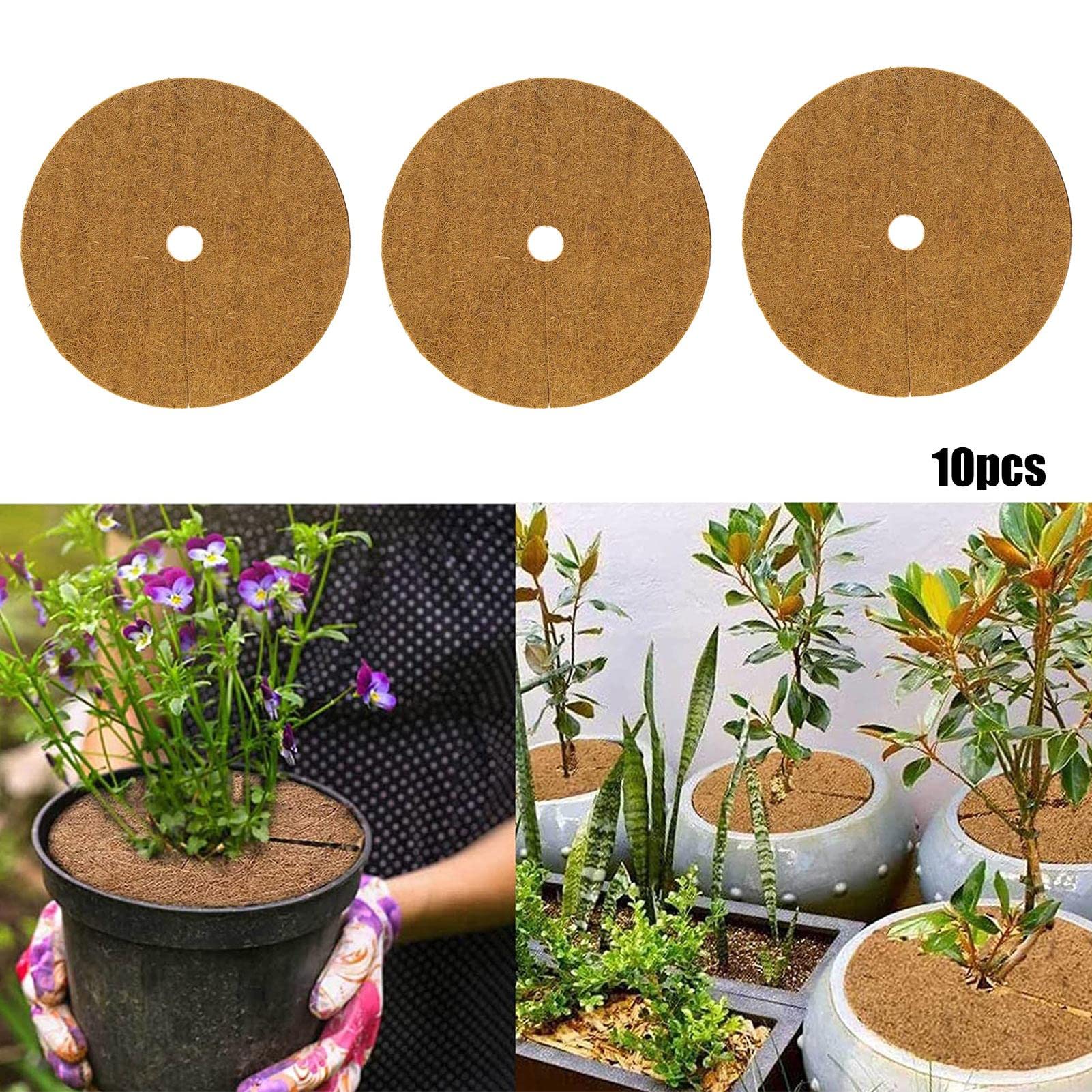Lot de 10 tapis de paillage en fibre de coco de 20/30/40/50 cm de diamètre en forme d'anneau pour plantes et arbres en pot d'intérieur et d'extérieur.
