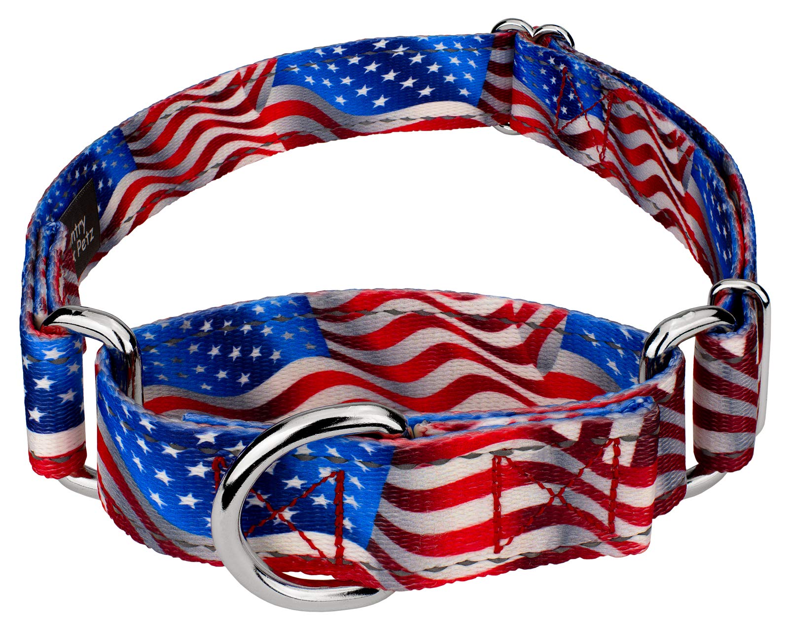 Country Brook Petz - Flying Free Reflective Martingale Dog Collar Collection Featuring Night Safe Designs (5/8 Inch, Small)