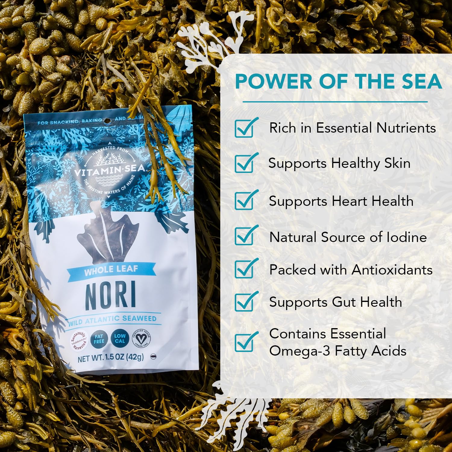 Amazon.com : VITAMINSEA Nori Dried Seaweed | Wild North Atlantic