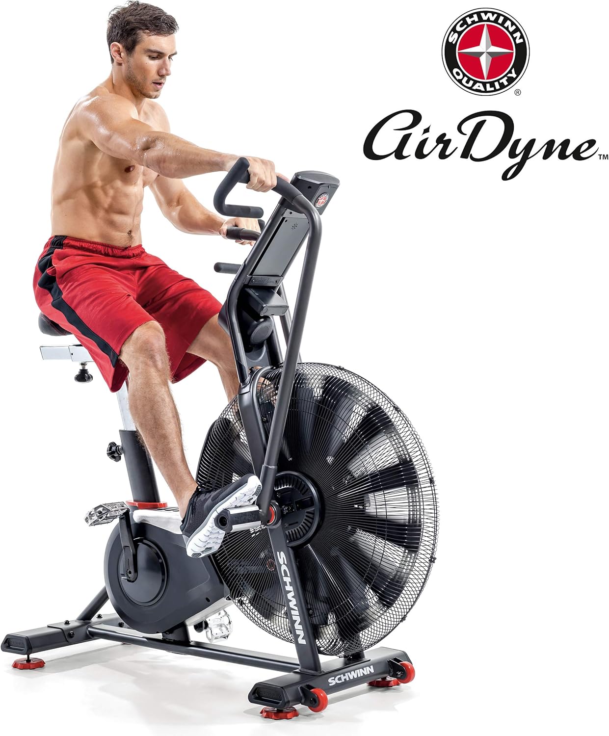 schwinn spinning bike per la casa