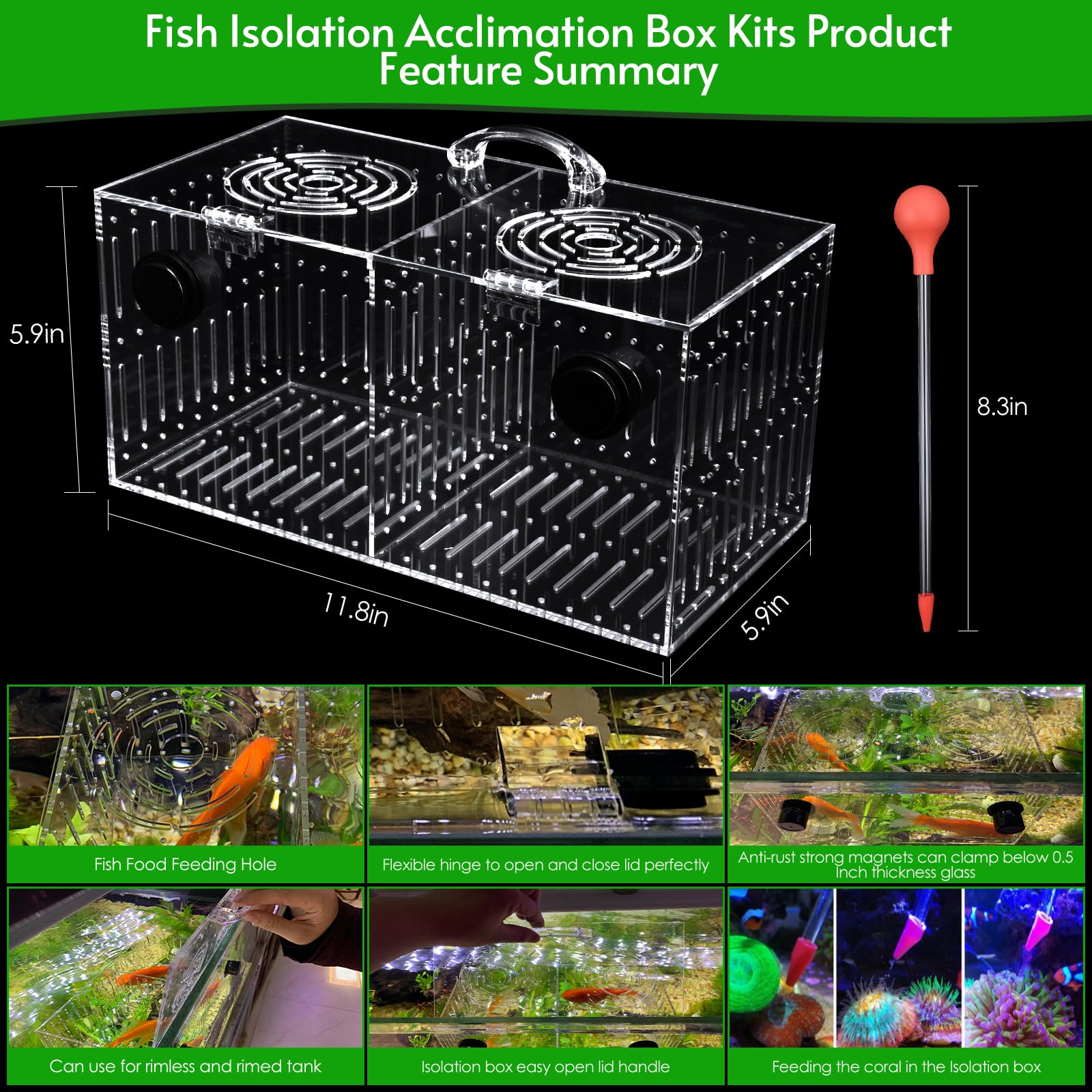 Amazon.com : Magnet Acclimation Box for Saltwater Fish Quarantine Aquarium  Isolation Box for Aquarium Fish Anemone Reef Coral : Pet Supplies