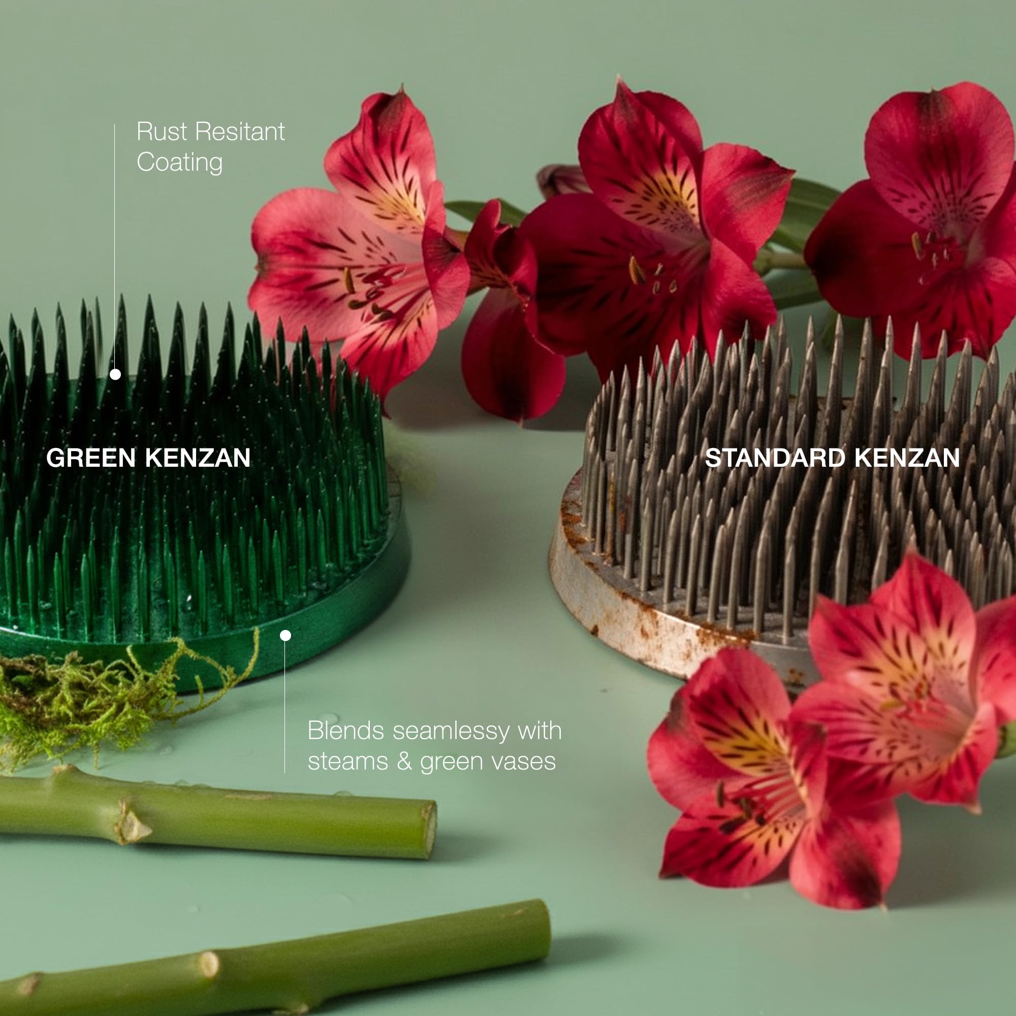 Wazakura Ikebana Kenzan - Soporte para flores japonés, color rojo, redondo, latón, fabricado en Japón (Verde 80mm)
