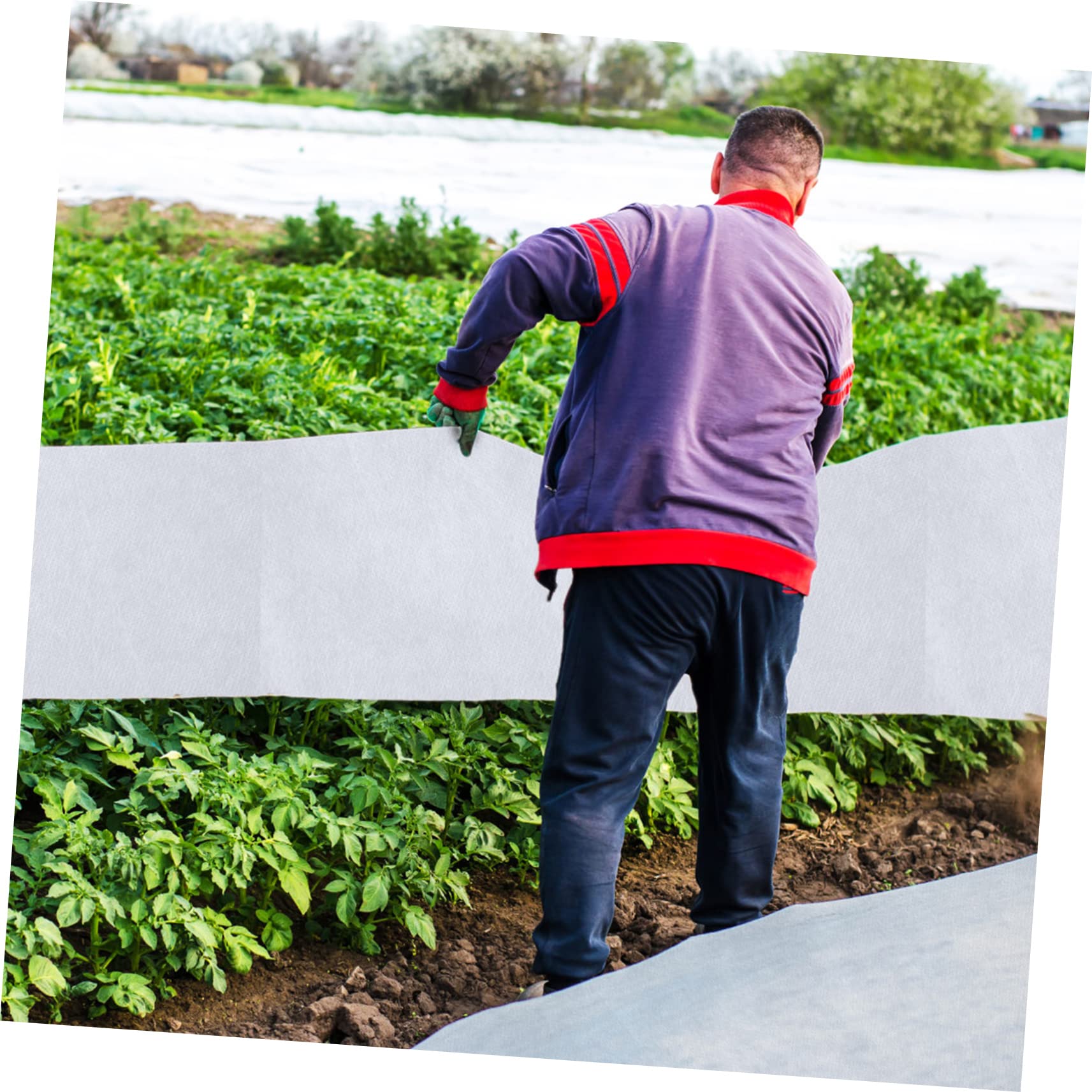 Toddmomy Copertura per Piante Inverno 2 Pezzi Non Tessuto Bianco | Protezione dal Freddo, Confezione Doppia, Copri Piante Inverno per Balcone