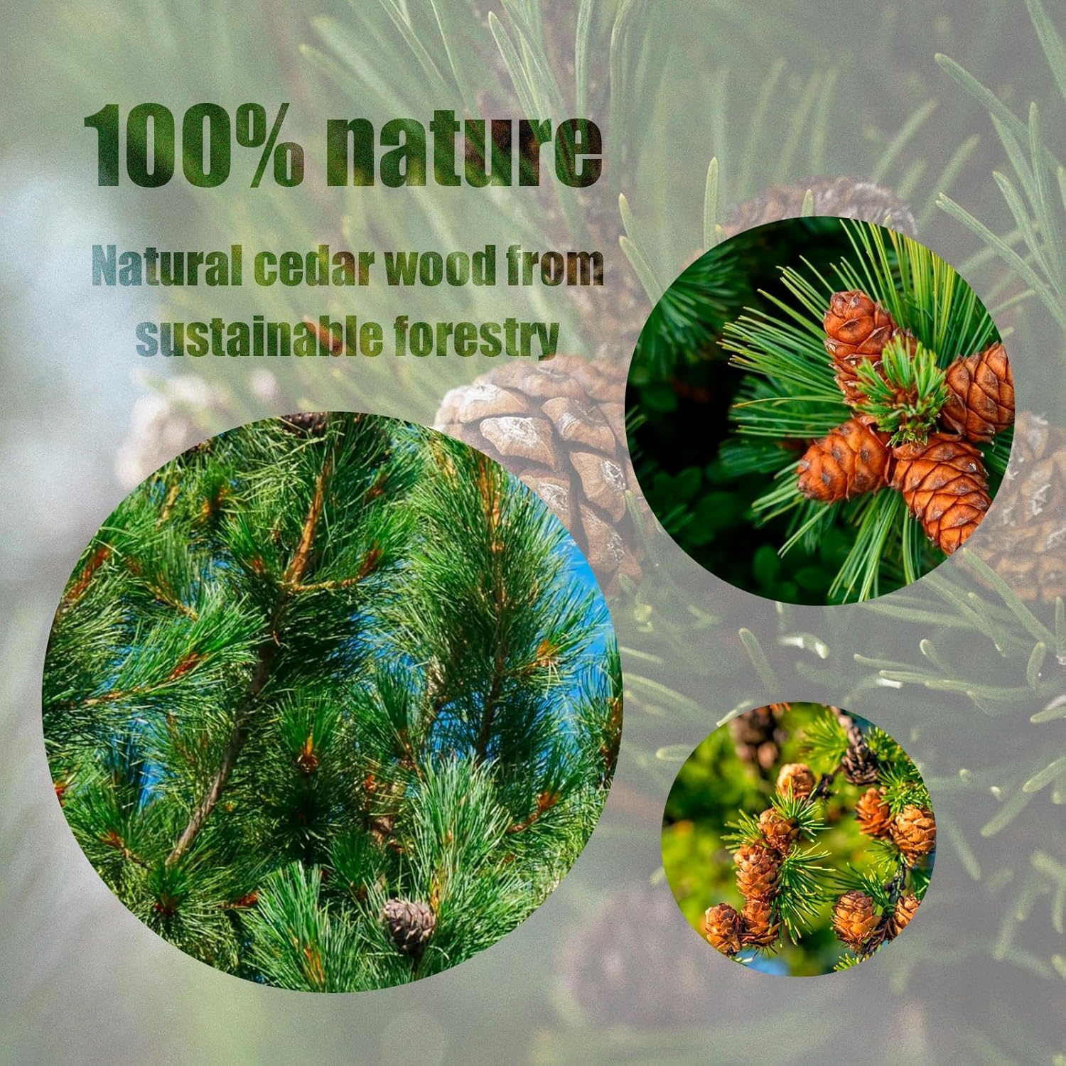 20 Anneaux + 12 Boules de bois de cèdre anti-mites vêtements | Cèdre de Californie | Papier de verre inclus | Protection 100% naturelle sans produit chimique | Parfum pour Armoires