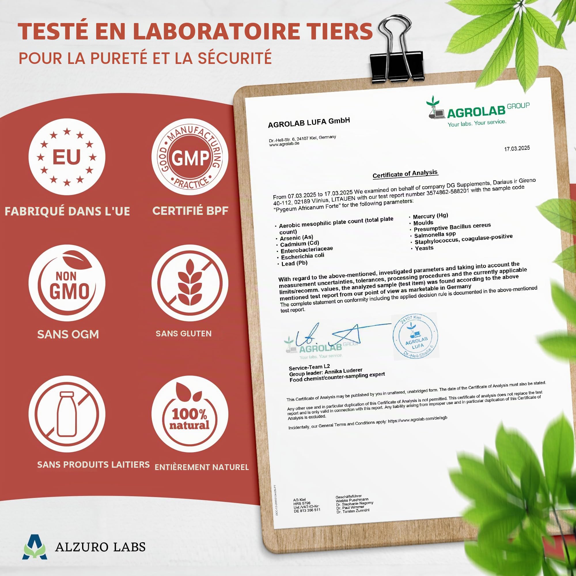 Pygeum africanum | 5.000 mg Équivalent | extrait d'écorce 20:1 250 mg (13% phytostérols) | 120 Gélules Véganes | Réserve 4 Mois | Prunus africana | GMP & Testé en Laboratoire Indépendant