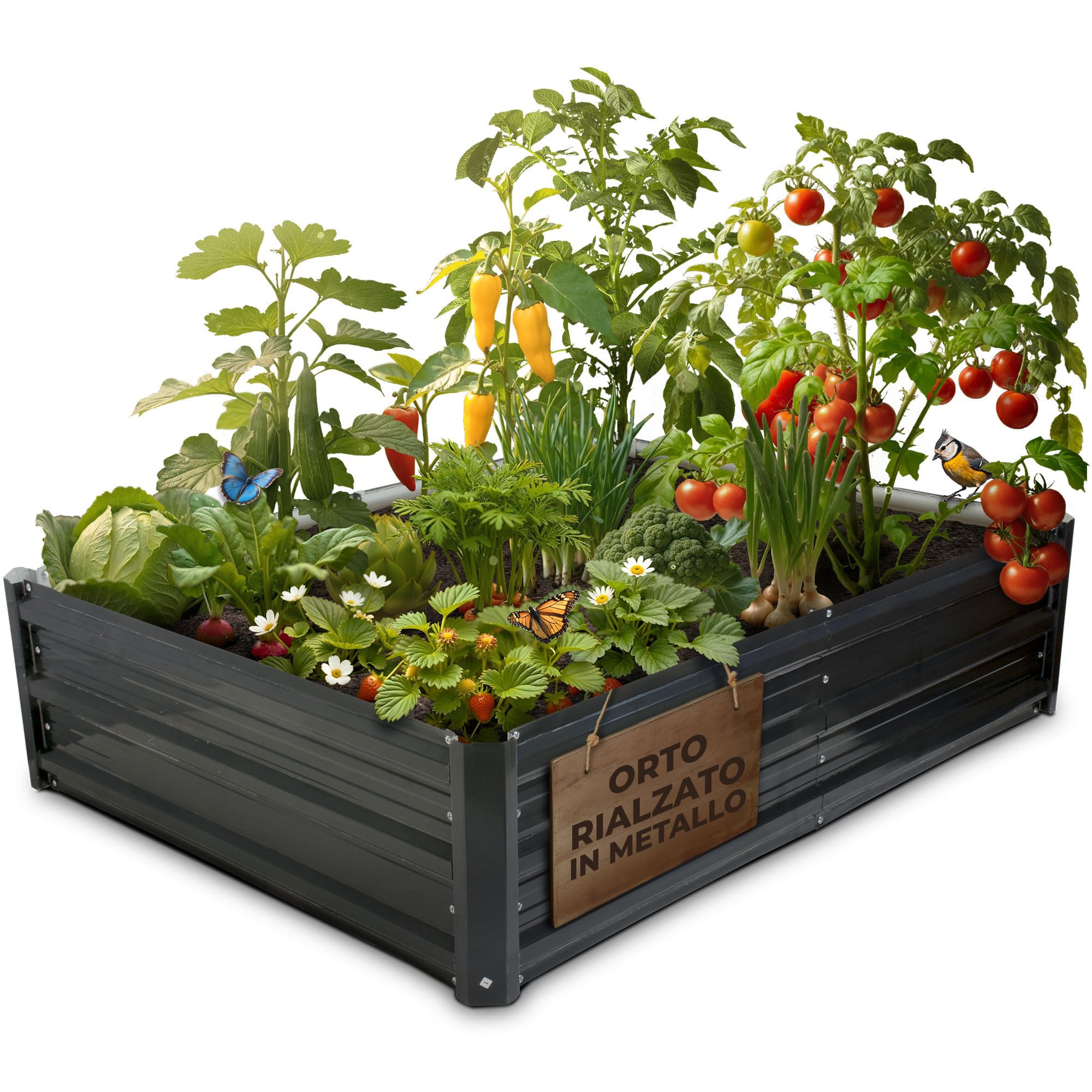 STREND PRO Orto Rialzato In Metallo 120×90×30cm | Aiuola Bassa E Compatta In Acciaio Zincato Per Giardino | Fioriera Per Ortaggi, Erbe Aromatiche E Piante Di Pomodoro