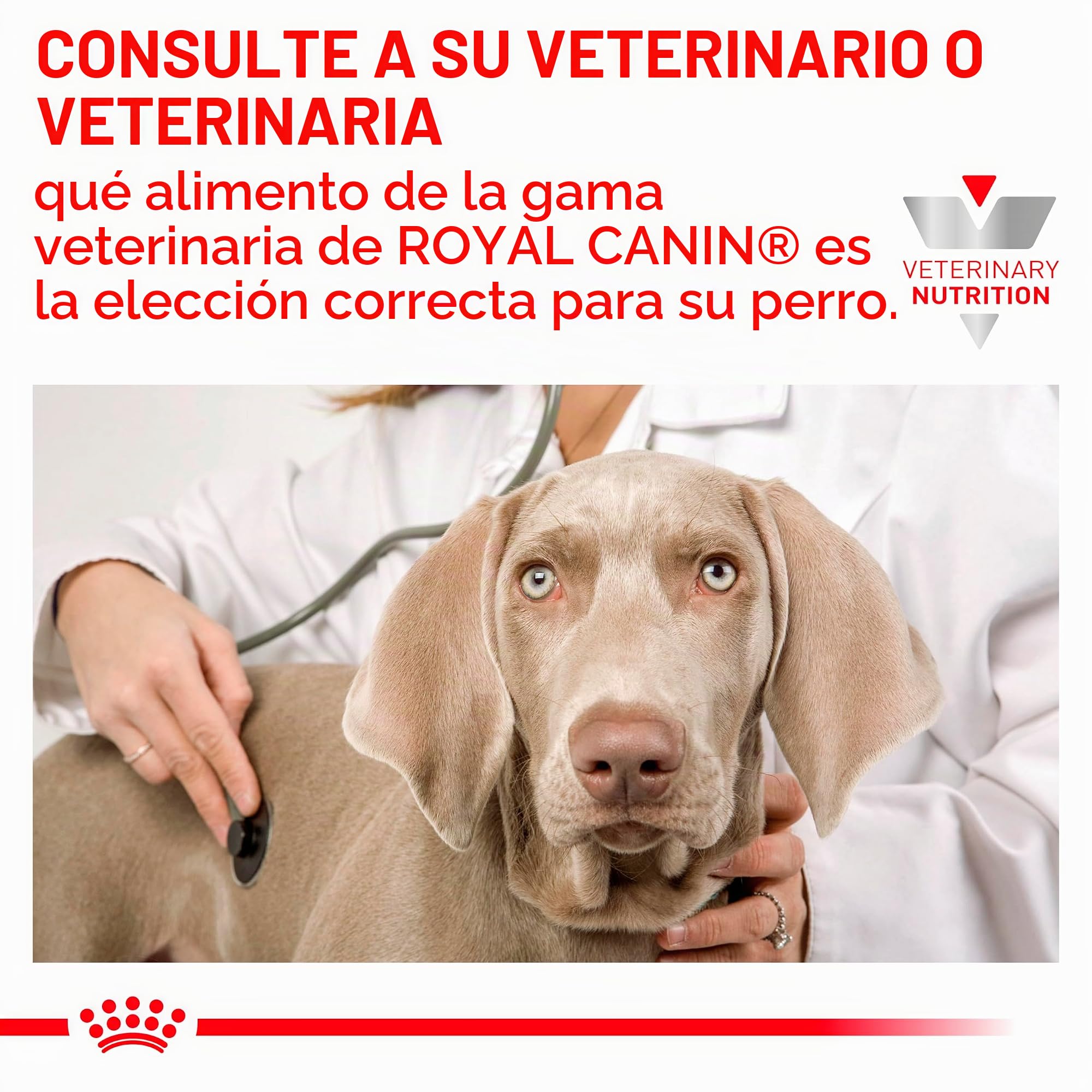 Royal Canin Veterinary Hepatic Mousse | 12 x 420 g | Alimento Completo para Perros Adultos | Puede Ayudar a Mantener la función hepática en Caso de insuficiencia hepática.