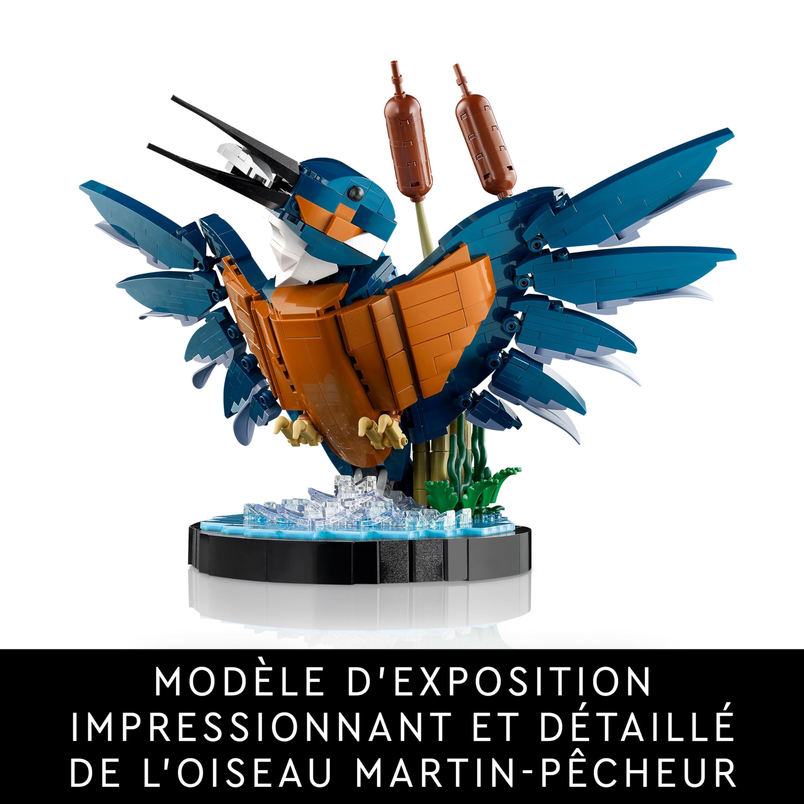 Lego Icons Le Martin-pêcheur - Maquette pour Adulte Amoureux des Oiseaux - Décoration pour la Maison ou Le Bureau - Activité Manuelle - Idée de Cadeau pour Femme ou Homme 10331