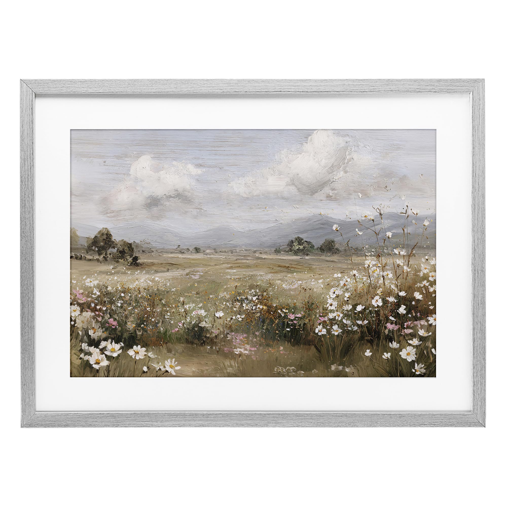 Stupell Industries 'Daisy Clusters in Field', Framed Print Under Glass, Gray, 20 x 14 Inches, Easy to Hang and Sturdy, Made in USA, by Jacky Ngan