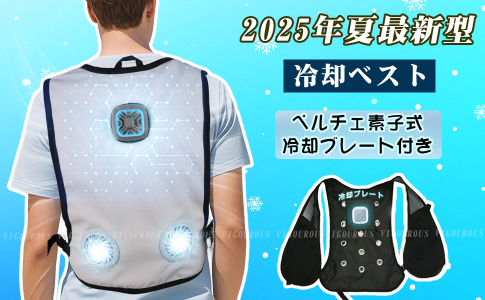 Amazon | [VIGOUROUS] 【2025夏強化版・ベストだけ】冷却服