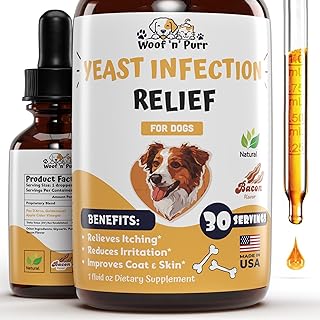 Natural Yeast Infection Treatment for Dogs