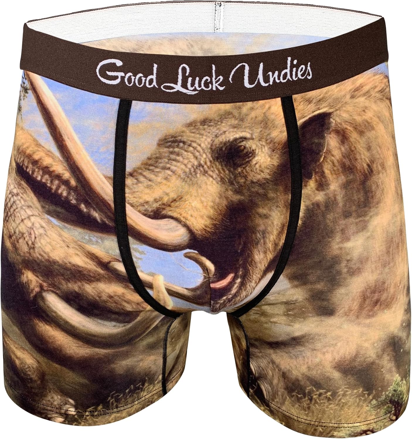 Good Luck Undies Dinosaur Boxer Brief Underwear