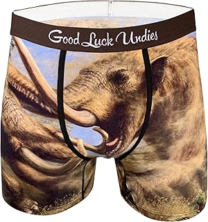 Good Luck Undies Dinosaur Boxer Brief Underwear